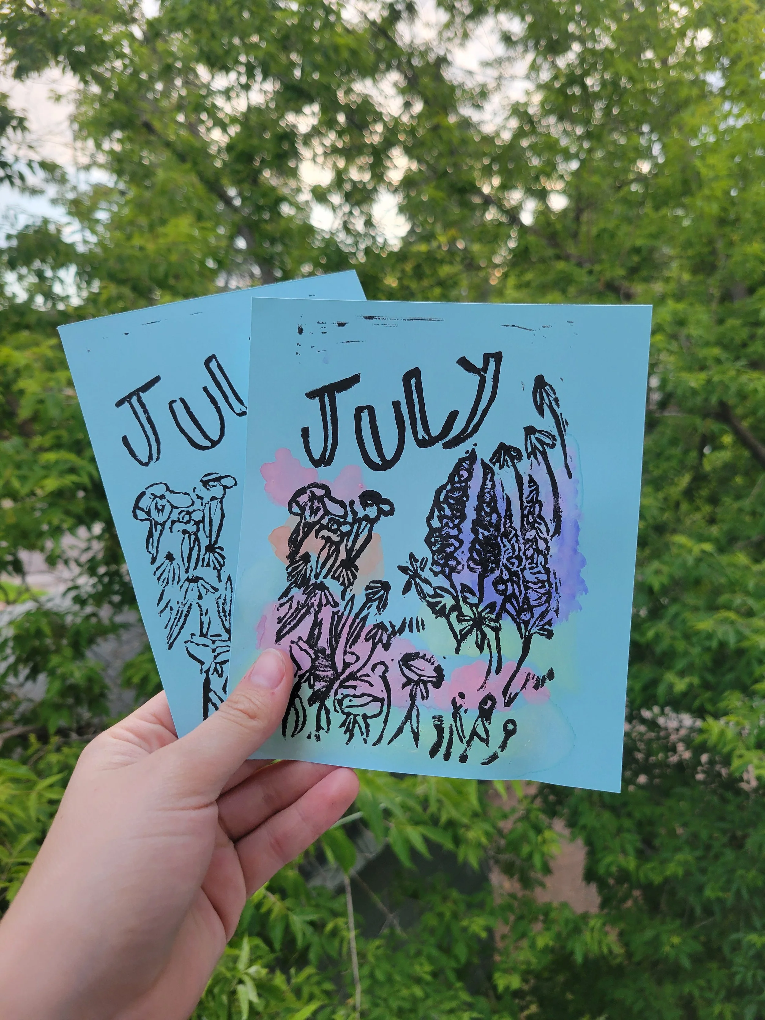One Month Subscription To Collectors Club