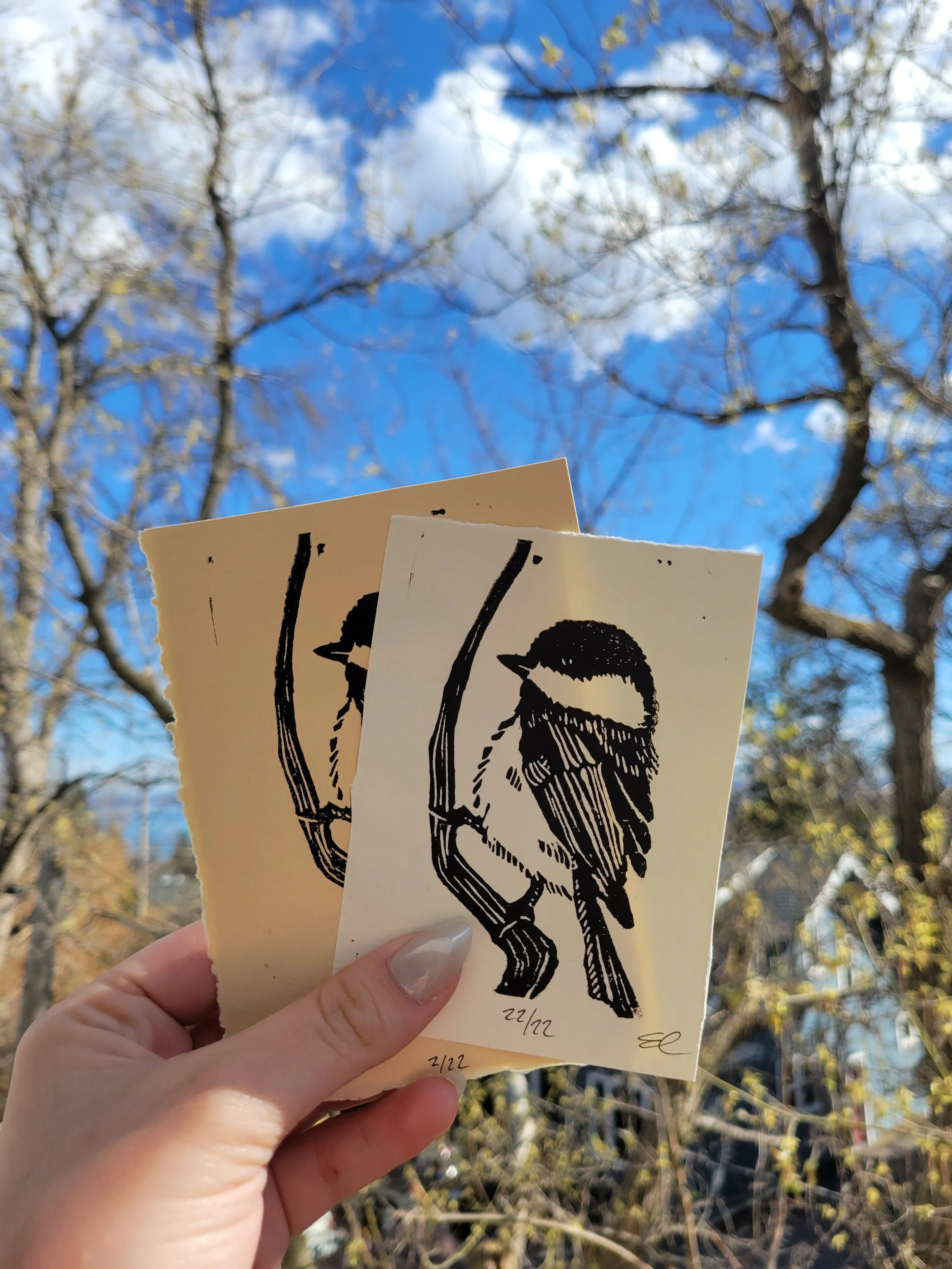 Chickadee Print