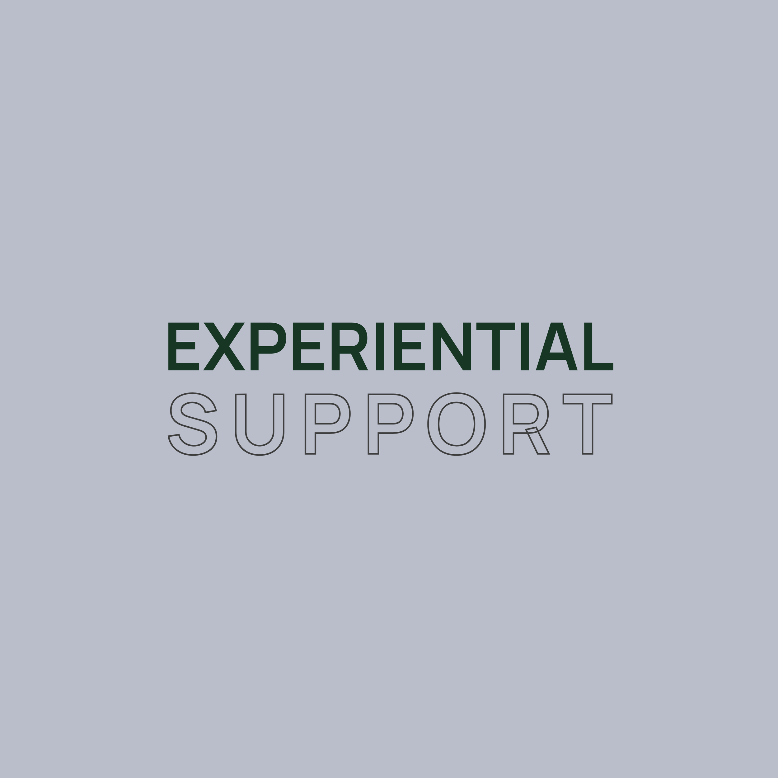 EXPERIENTIAL SUPPORT