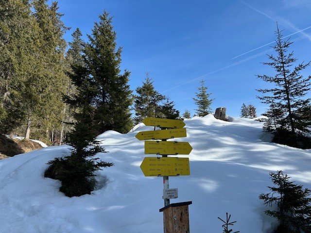 Seefeld walking.jpg