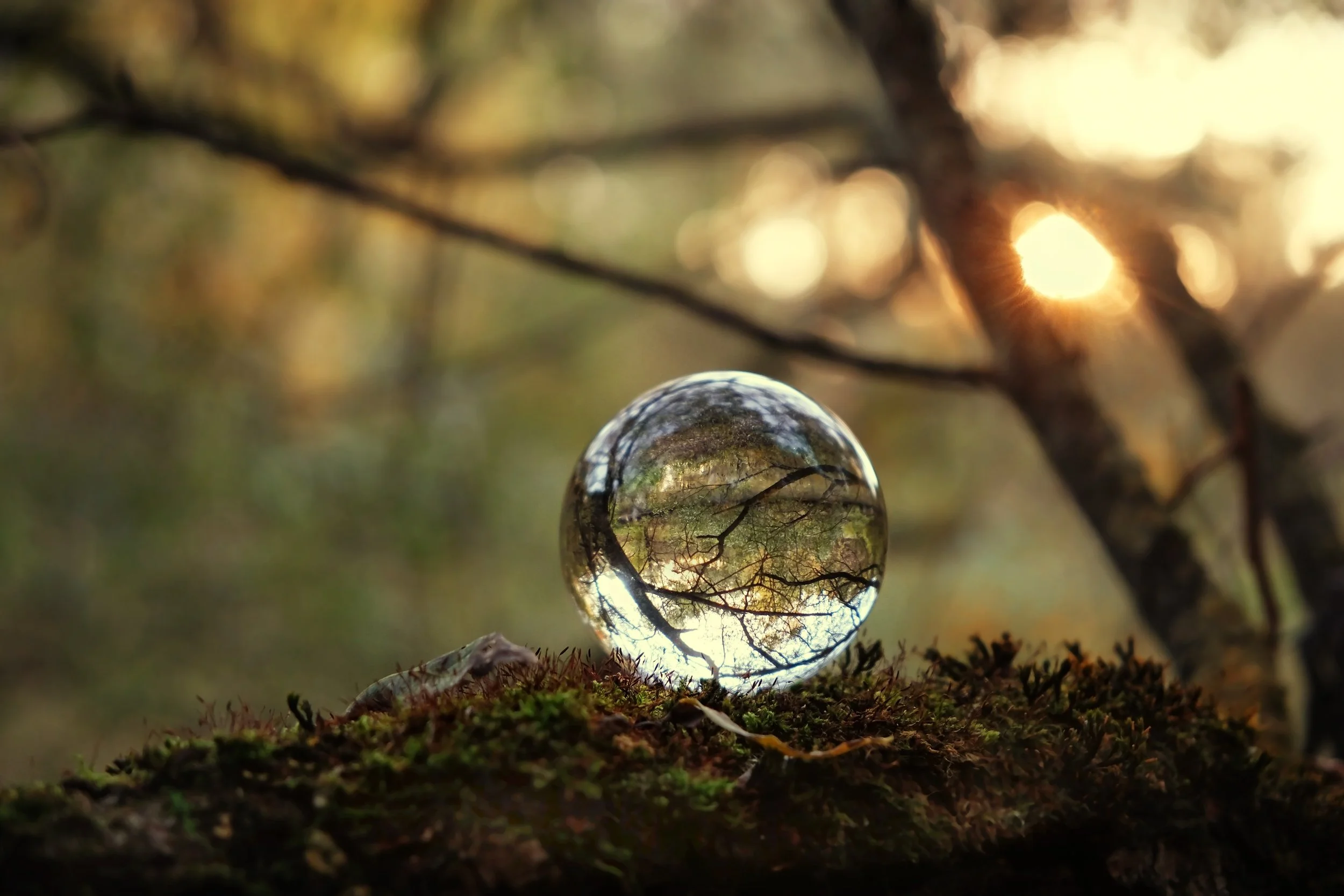 Crystal orb catching sunset light in the woods, evoking reflection, truth, and the luminous stillness at the heart of shadow work.