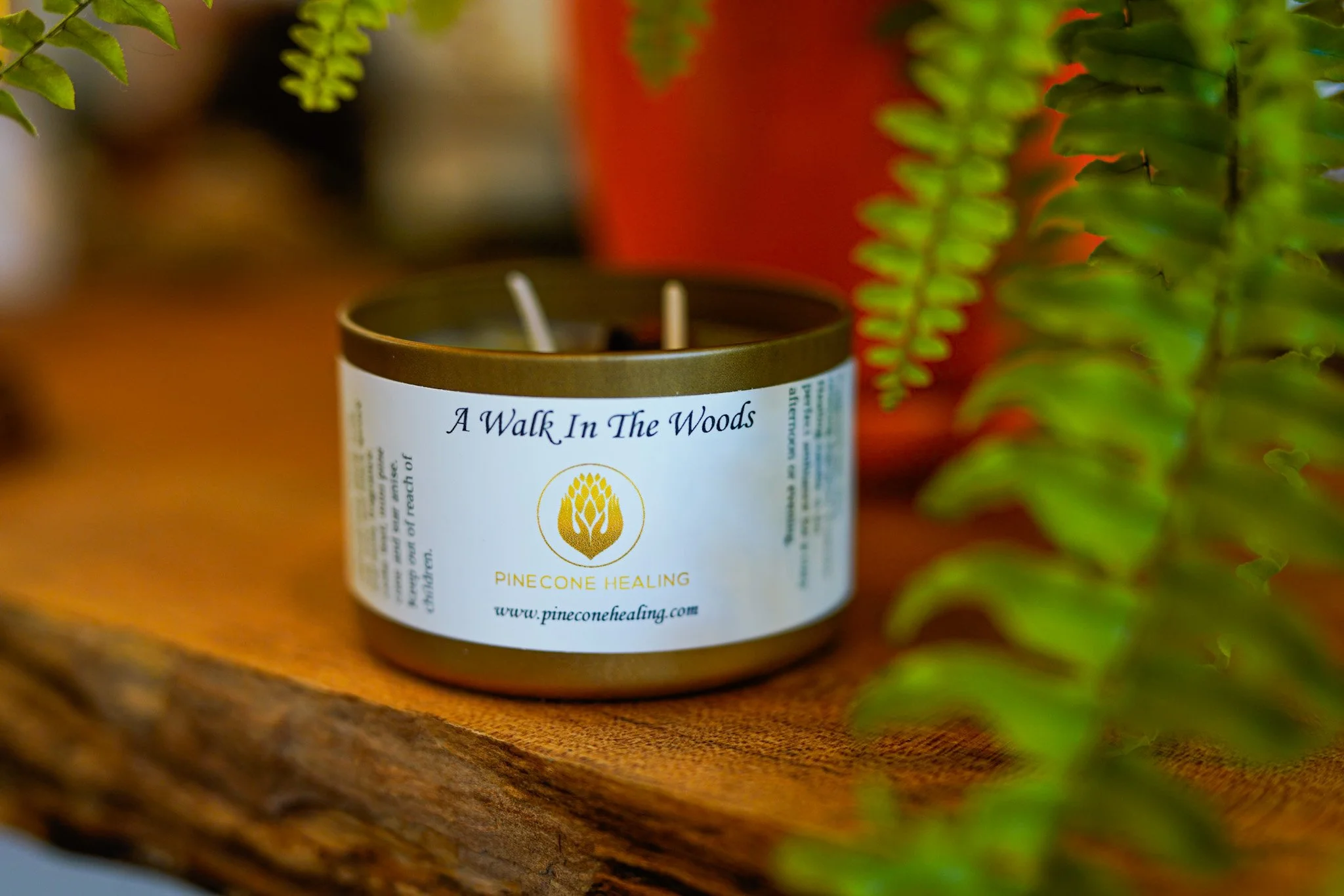 A Walk in the Woods Candle