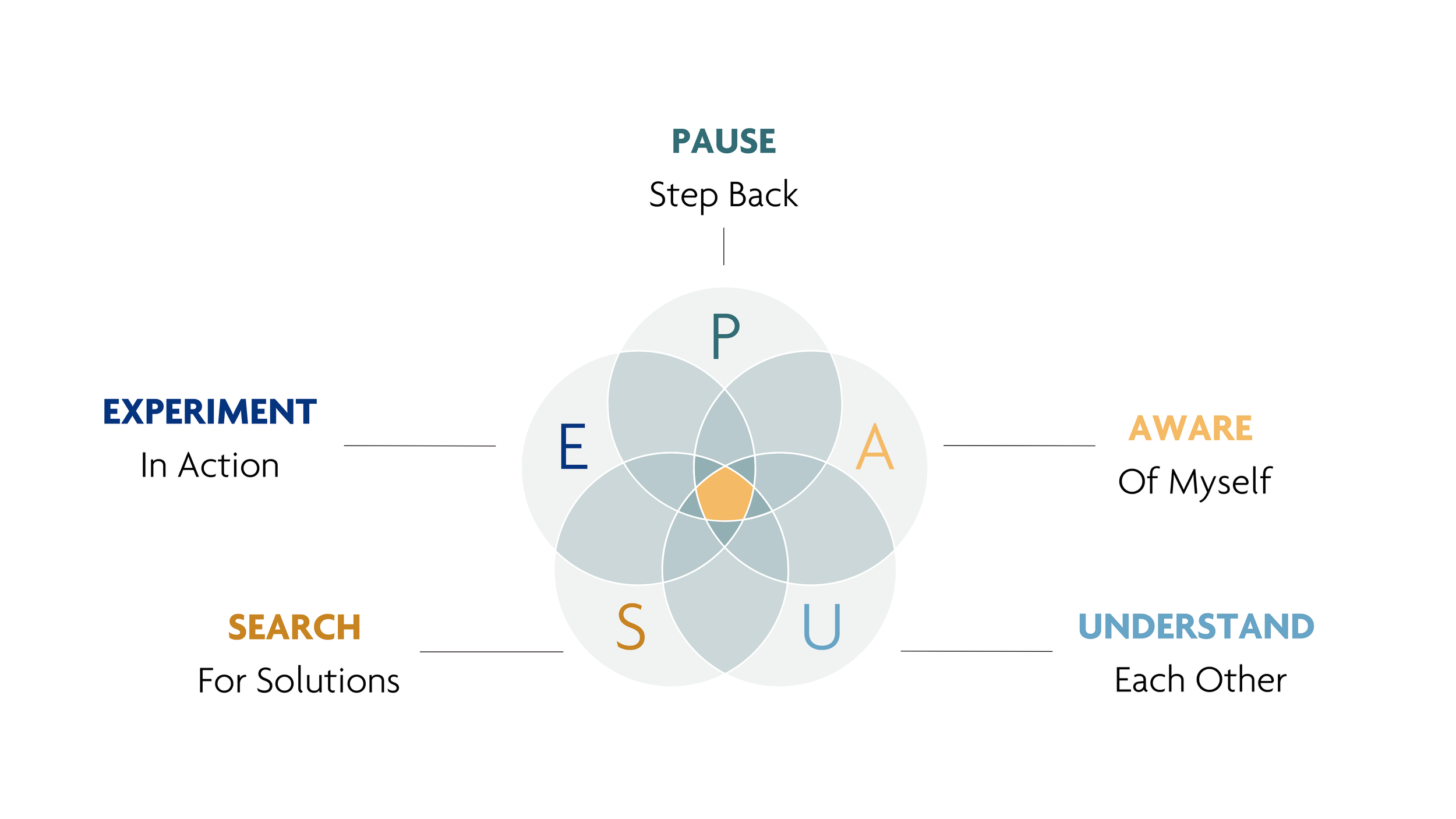 Pause Model.pdf Self-Leadership Collaborative