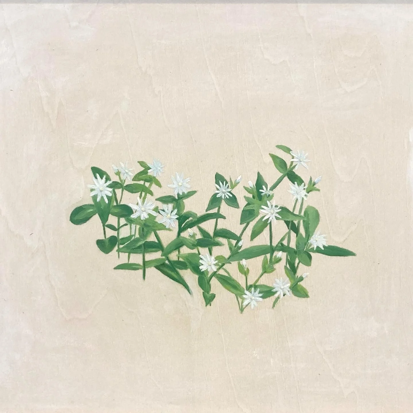 195F6084-7F20-463D-900B-EFB3879B5078.jpeg