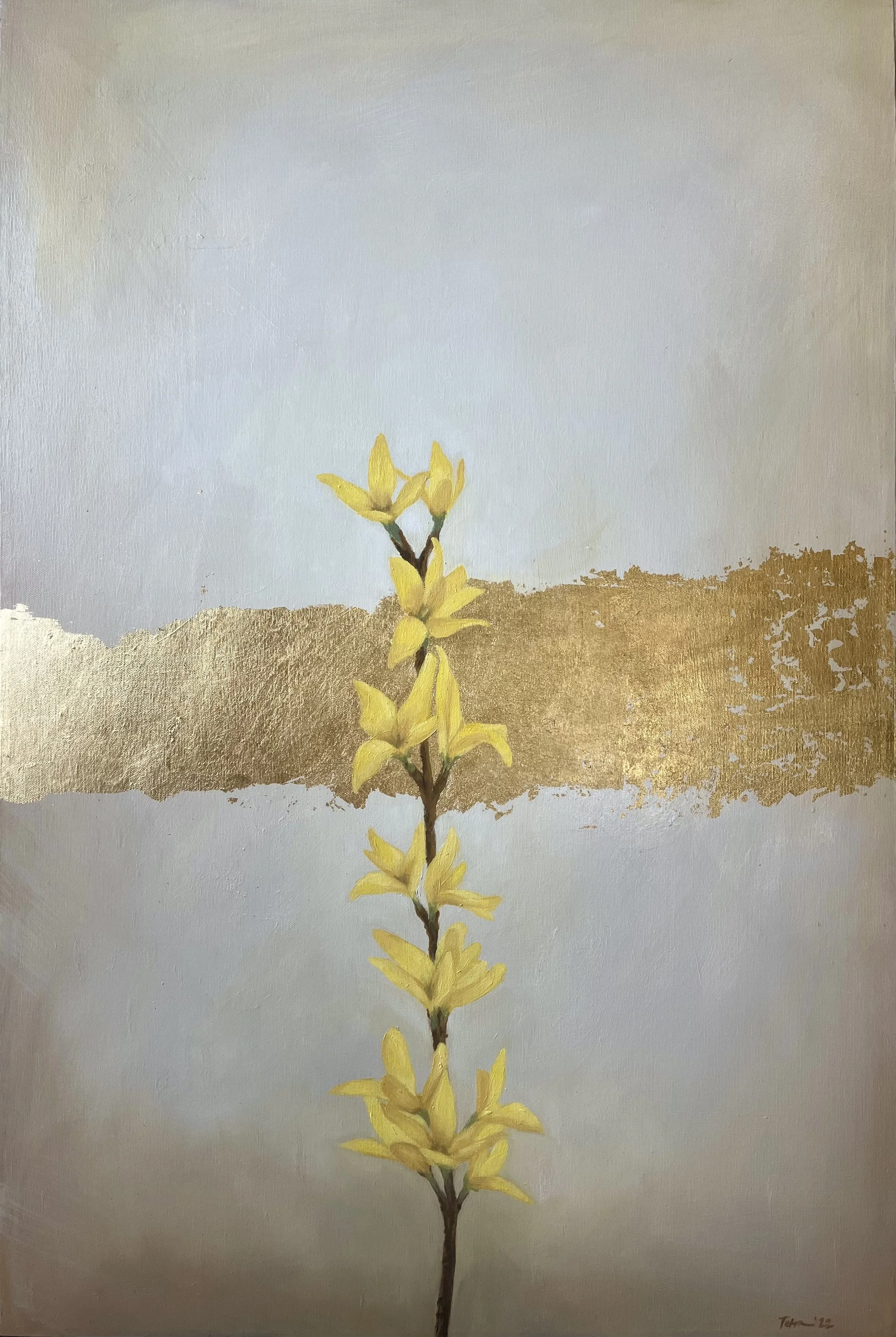 New Life Series