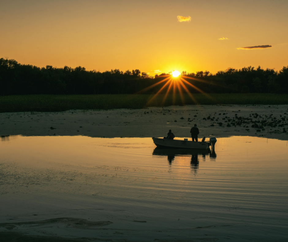 It’s the ‘most important fish in the sea.’ And it’s disappearing.