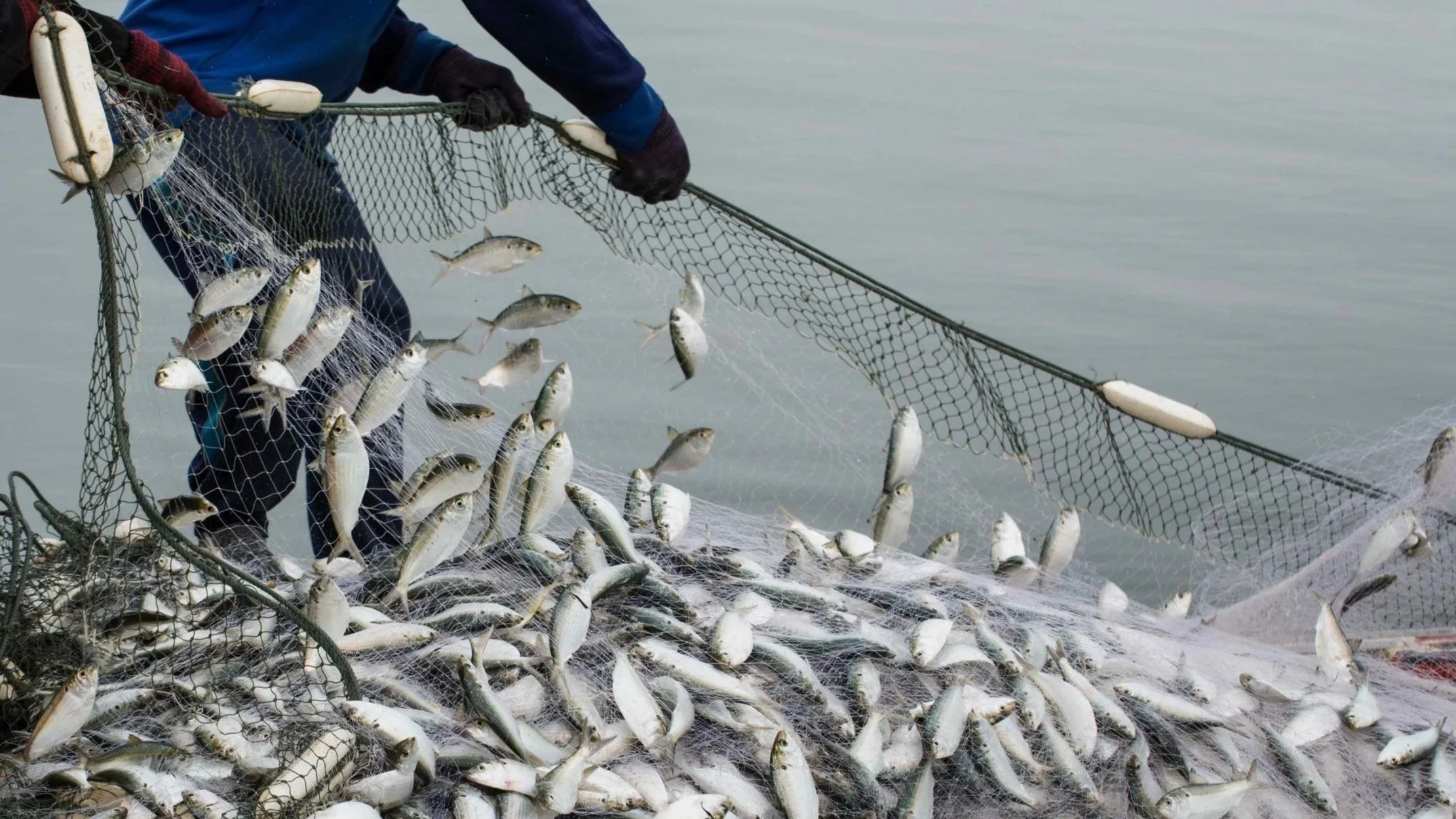 A Chance to Deliver a Lasting Legacy for America’s Fisheries