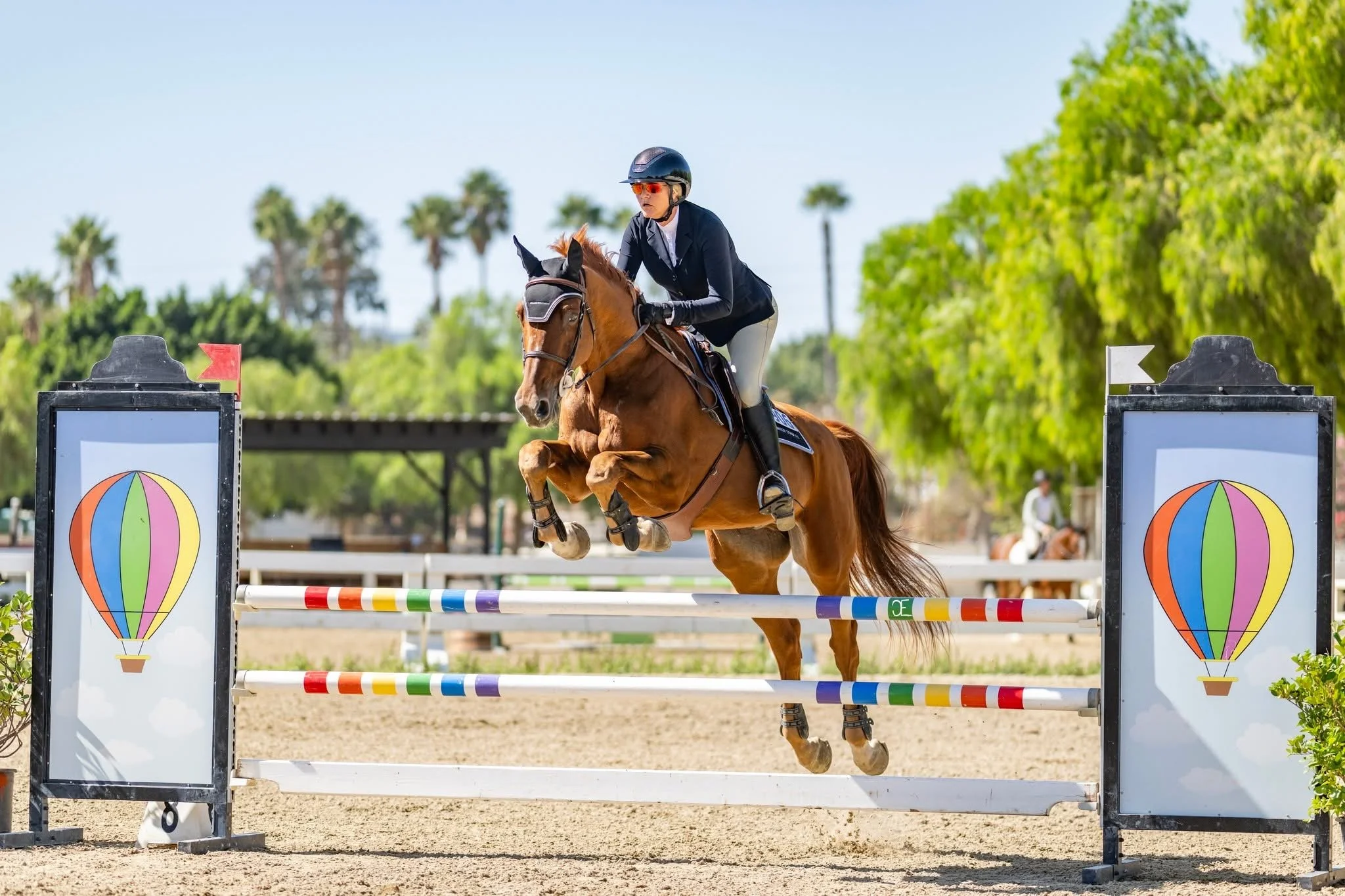 A female equestrian rider jumping over a colorful obstacle on a brown horse during a show jumping competition. The background features green trees and a few spectators.