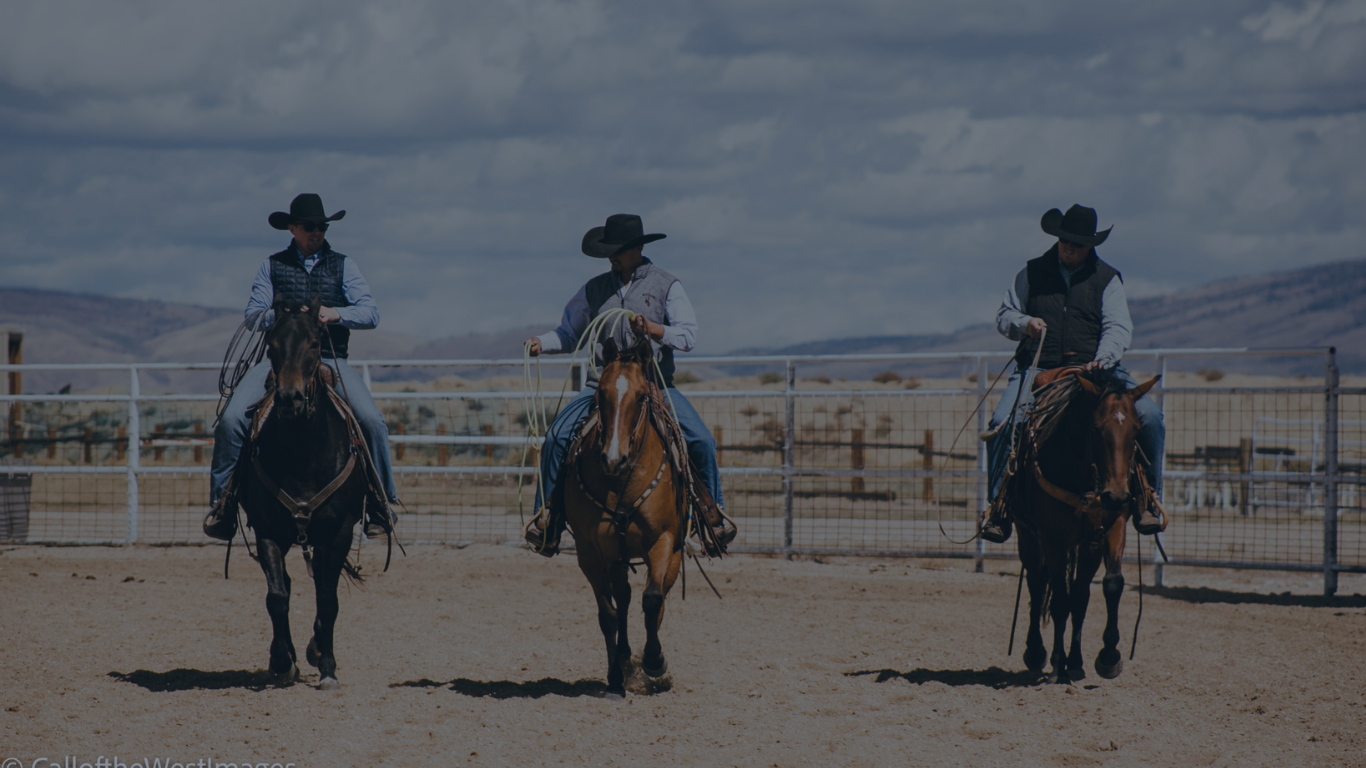 Wyoming Stock Growers Association | Join Wyoming Ranching Community