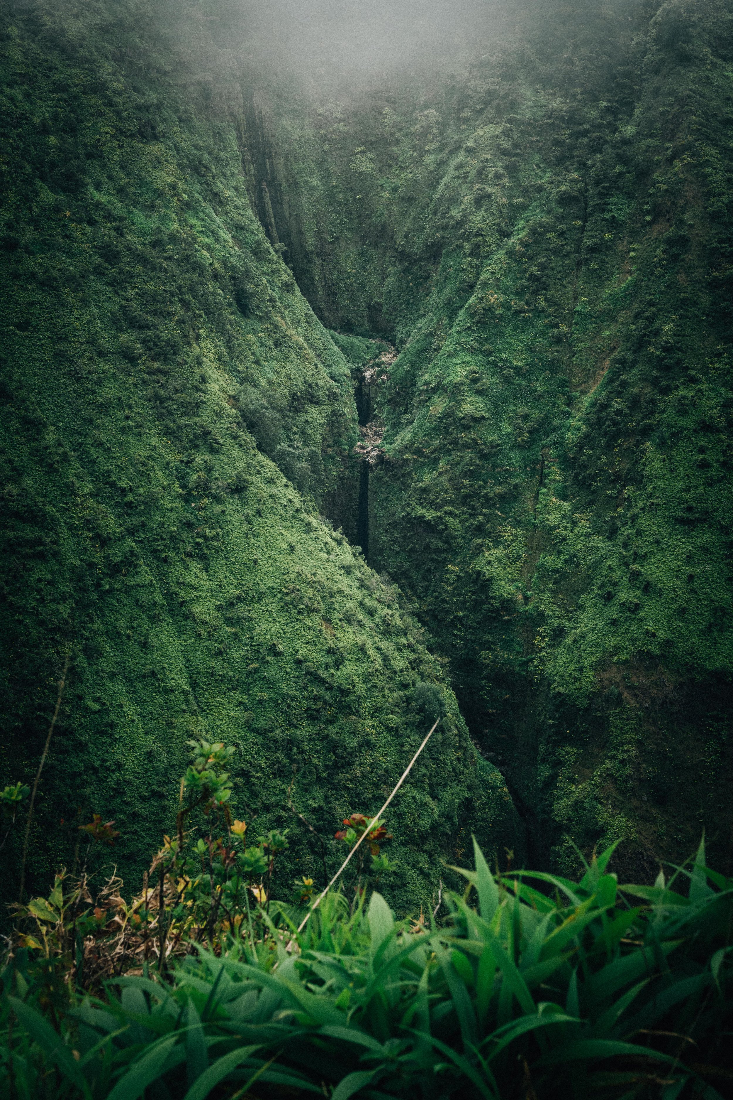 Lush green ravine with steep hills and dense vegetation, partially shrouded in mist.