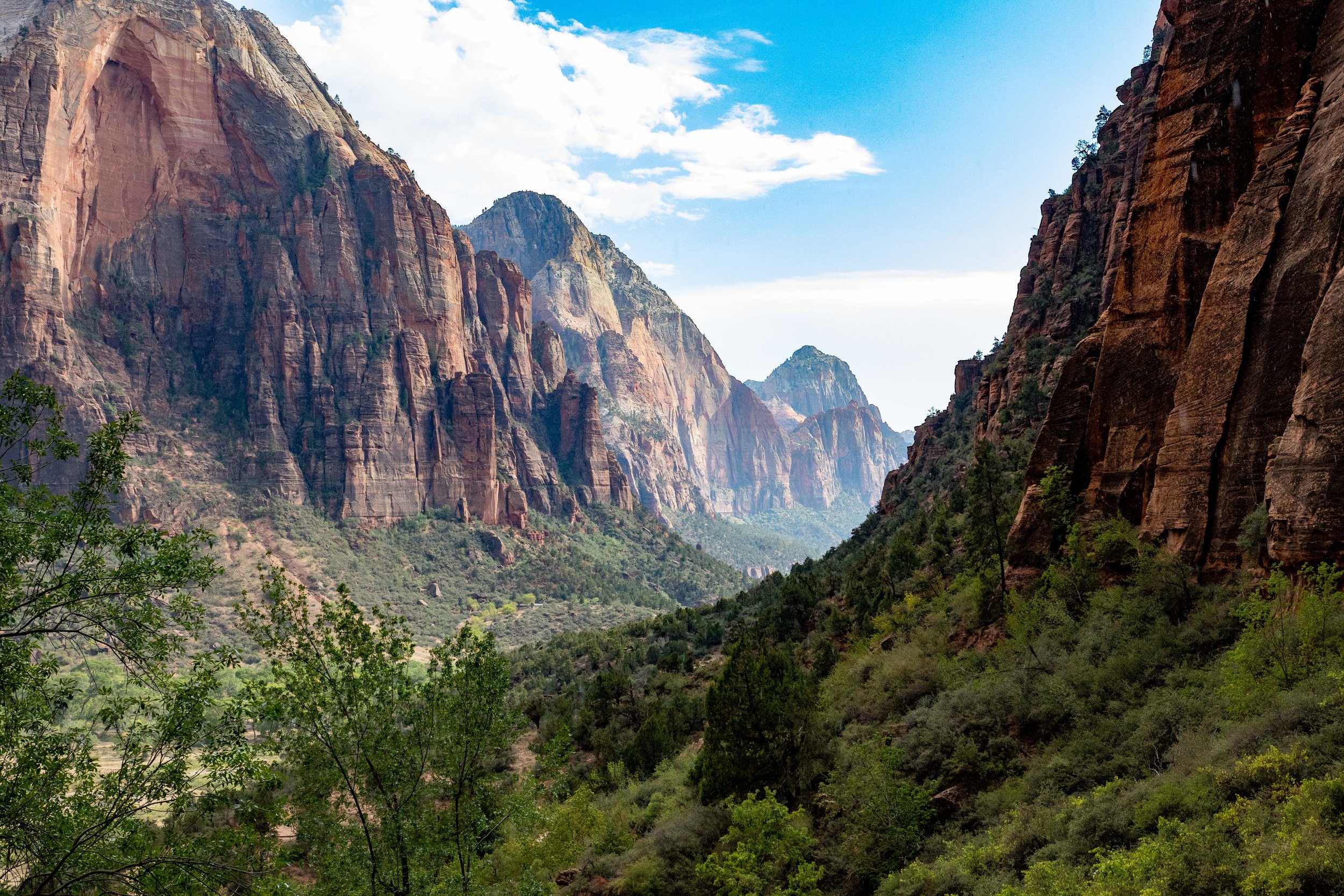 Scenic view of Zion National Park canyon with towering red rock cliffs, green forested valley, and blue sky.