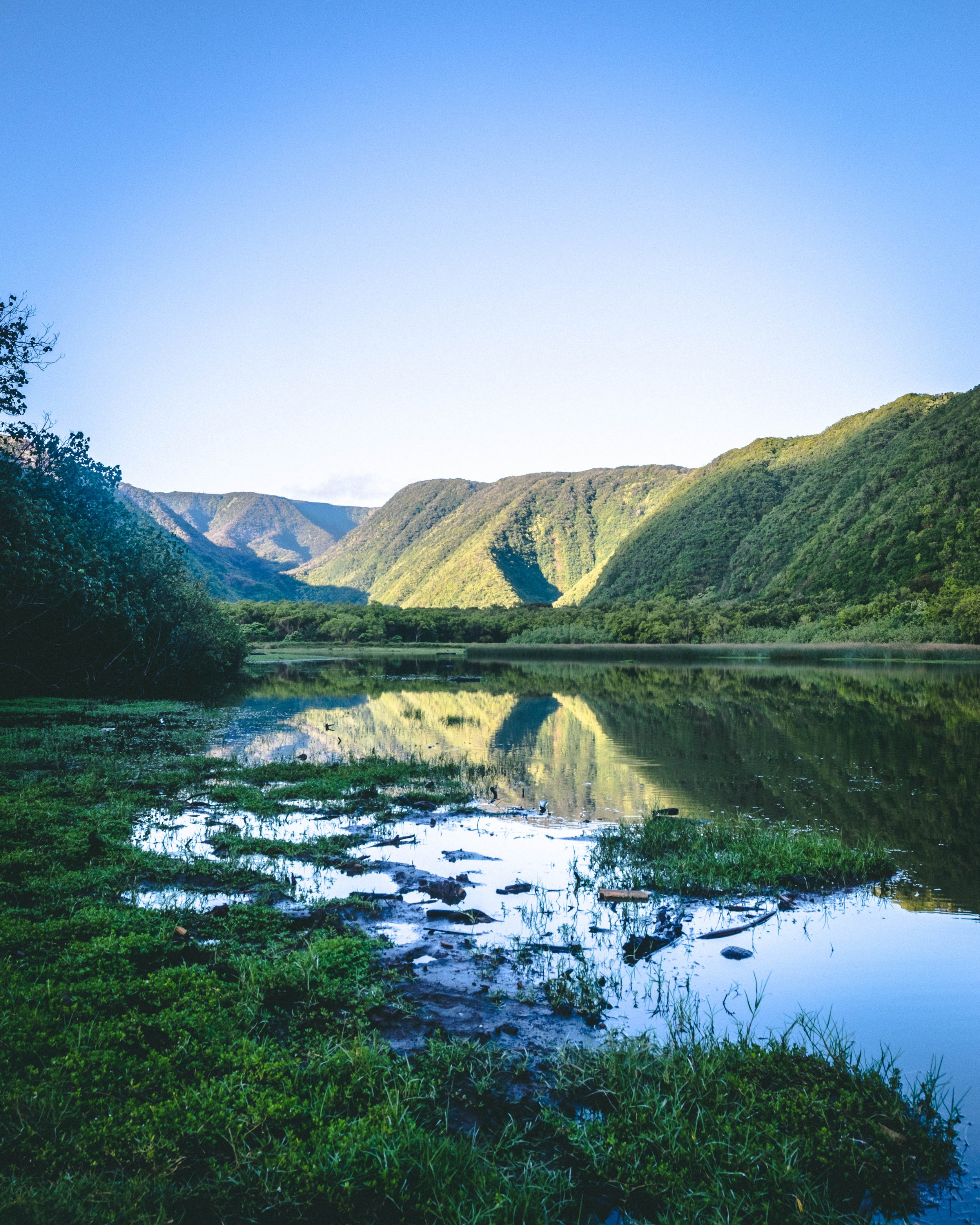 Scenic view of mountain range reflecting in a calm lake surrounded by lush green vegetation under a clear blue sky.