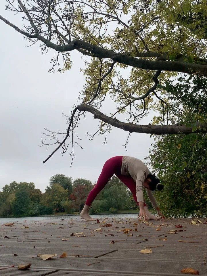 October universe 🍁

#fallseason #nature #yoga