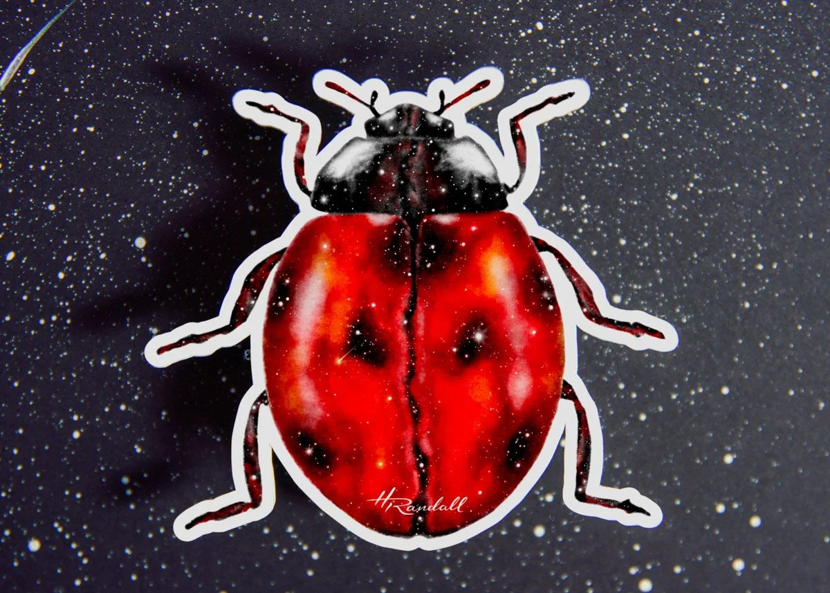 Ladybug Galaxy - Waterproof Sticker