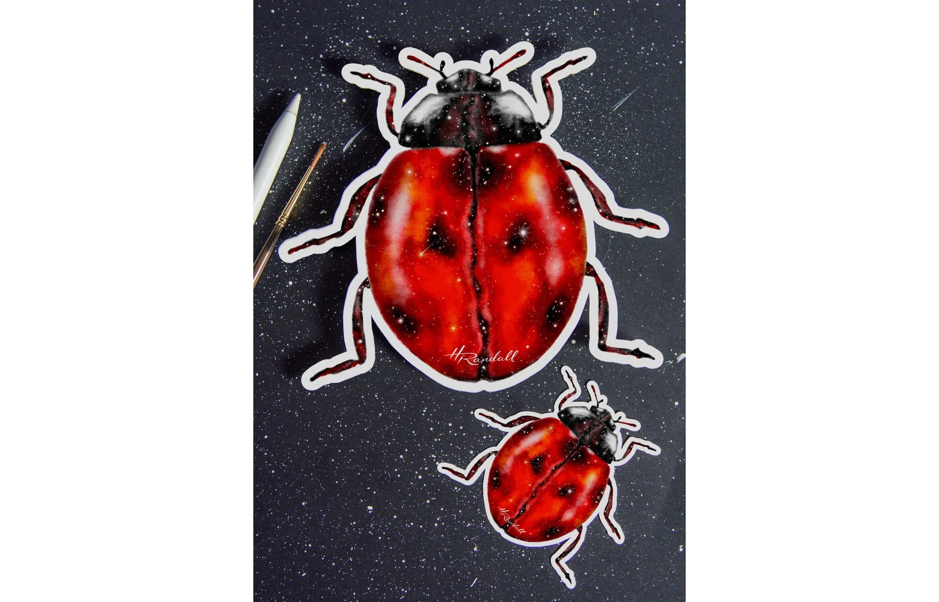 LadybugGalaxySticker-HRandallArt-ProductImage-WEB-5.jpg