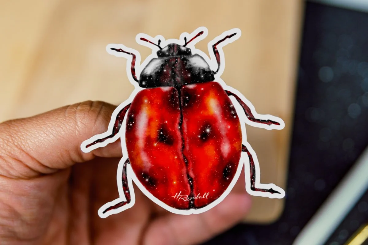 LadybugGalaxySticker-HRandallArt-ProductImage-WEB-2.jpg