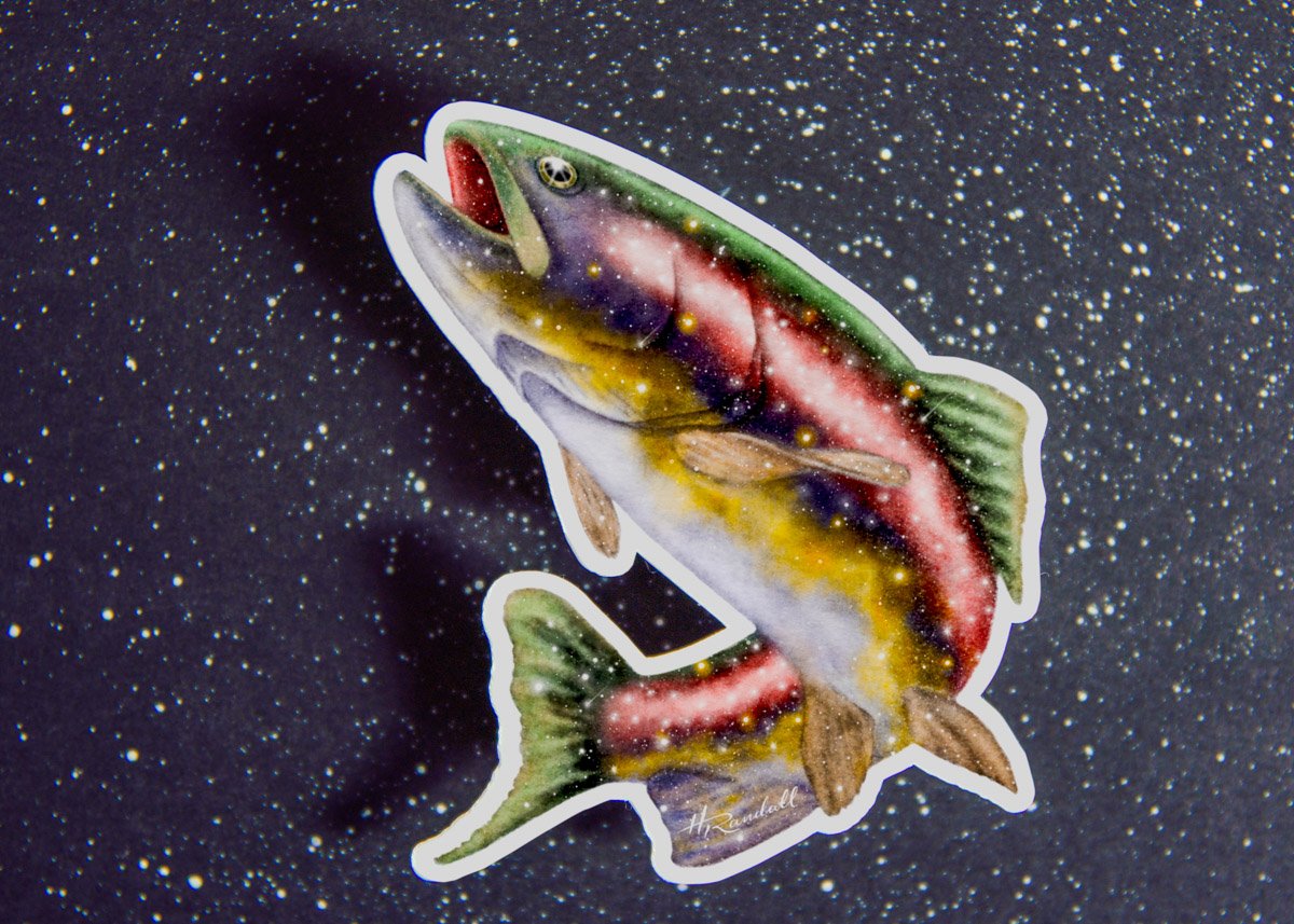 Rainbow Trout Galaxy - Waterproof Sticker