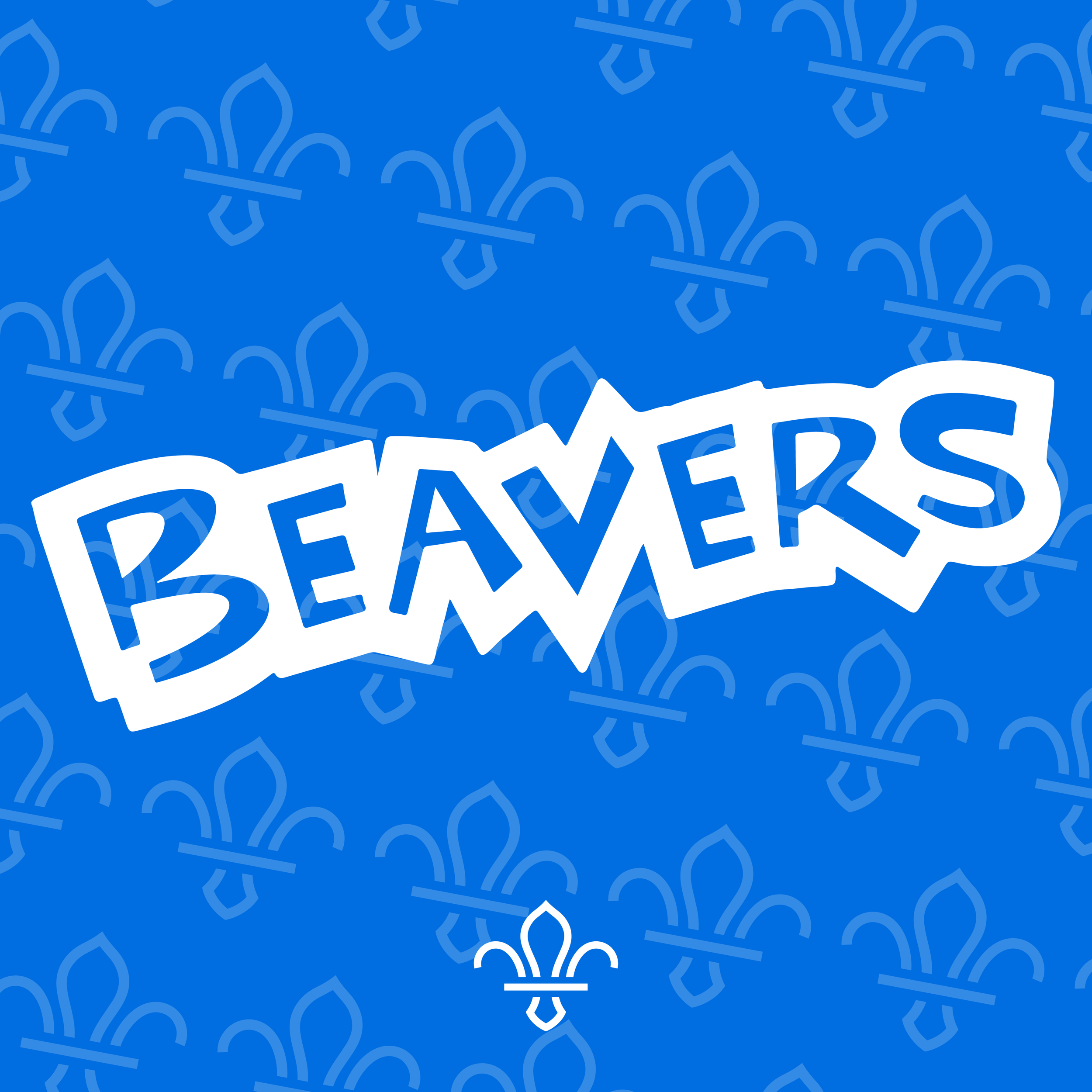Section Graphics_Beavers.png