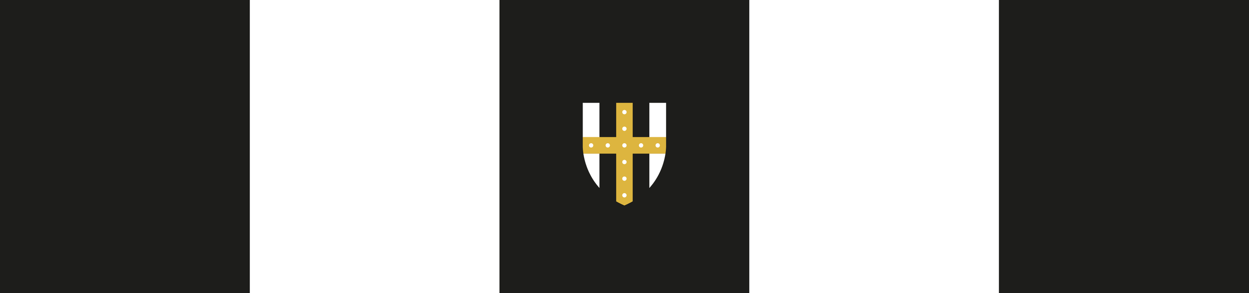 STFC_Project Banner.png