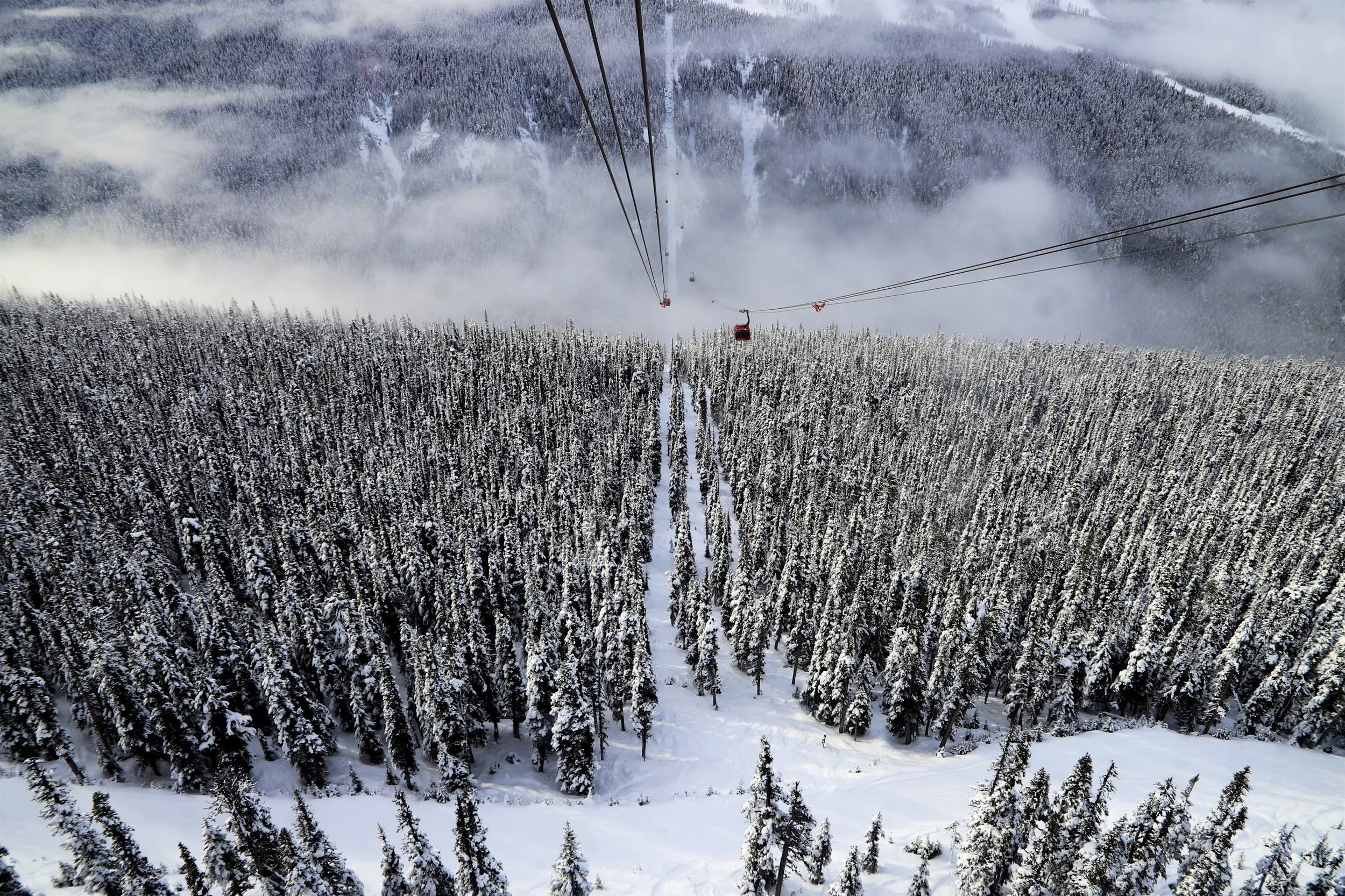 Jaw-dropping gondola views over snow-capped trees in a beautiful Canadian mountain range.