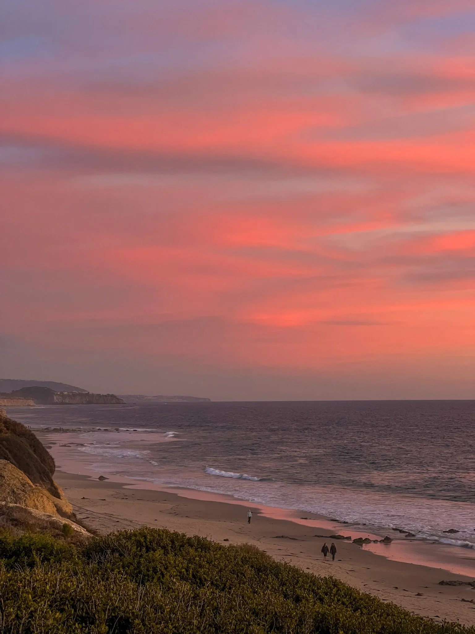 What To Do in Orange County in February: 50+ Events To Check Out This Month