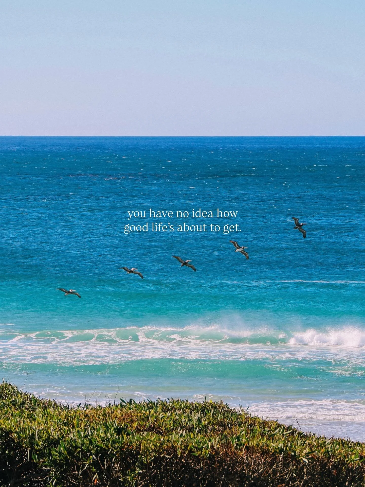 2026 is your year 🩵

#mindsetshifts #yearofthehorse #mindovermatters #abundancenow