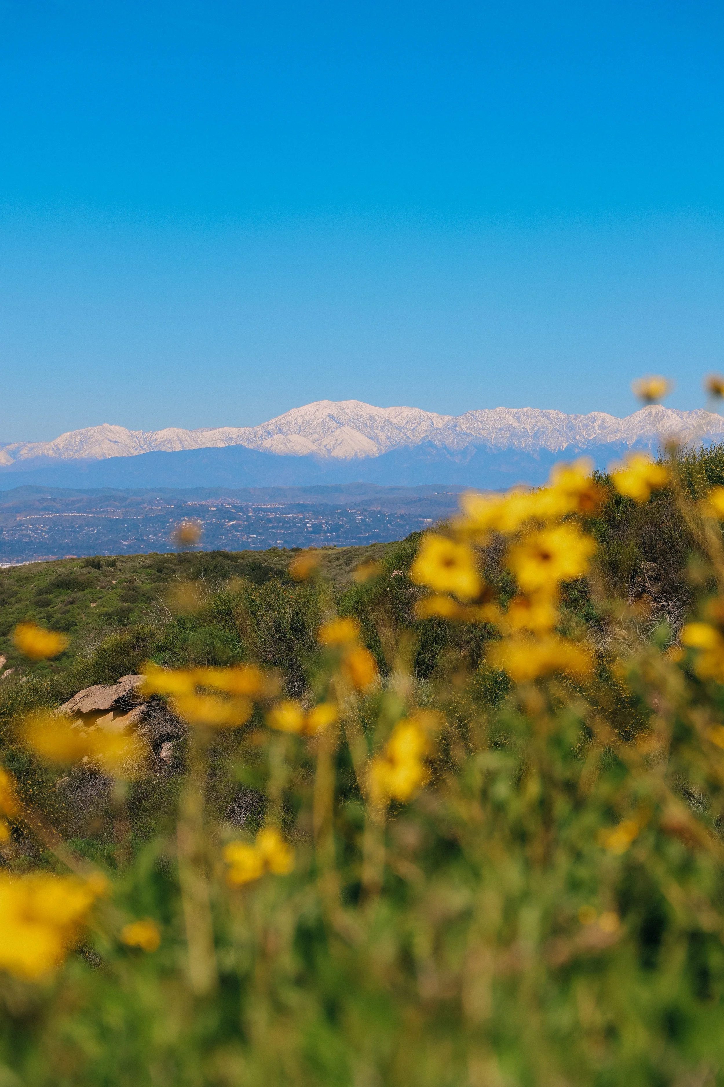 What To Do in Orange County in March 2026: 50+ Events To Check Out This Month 