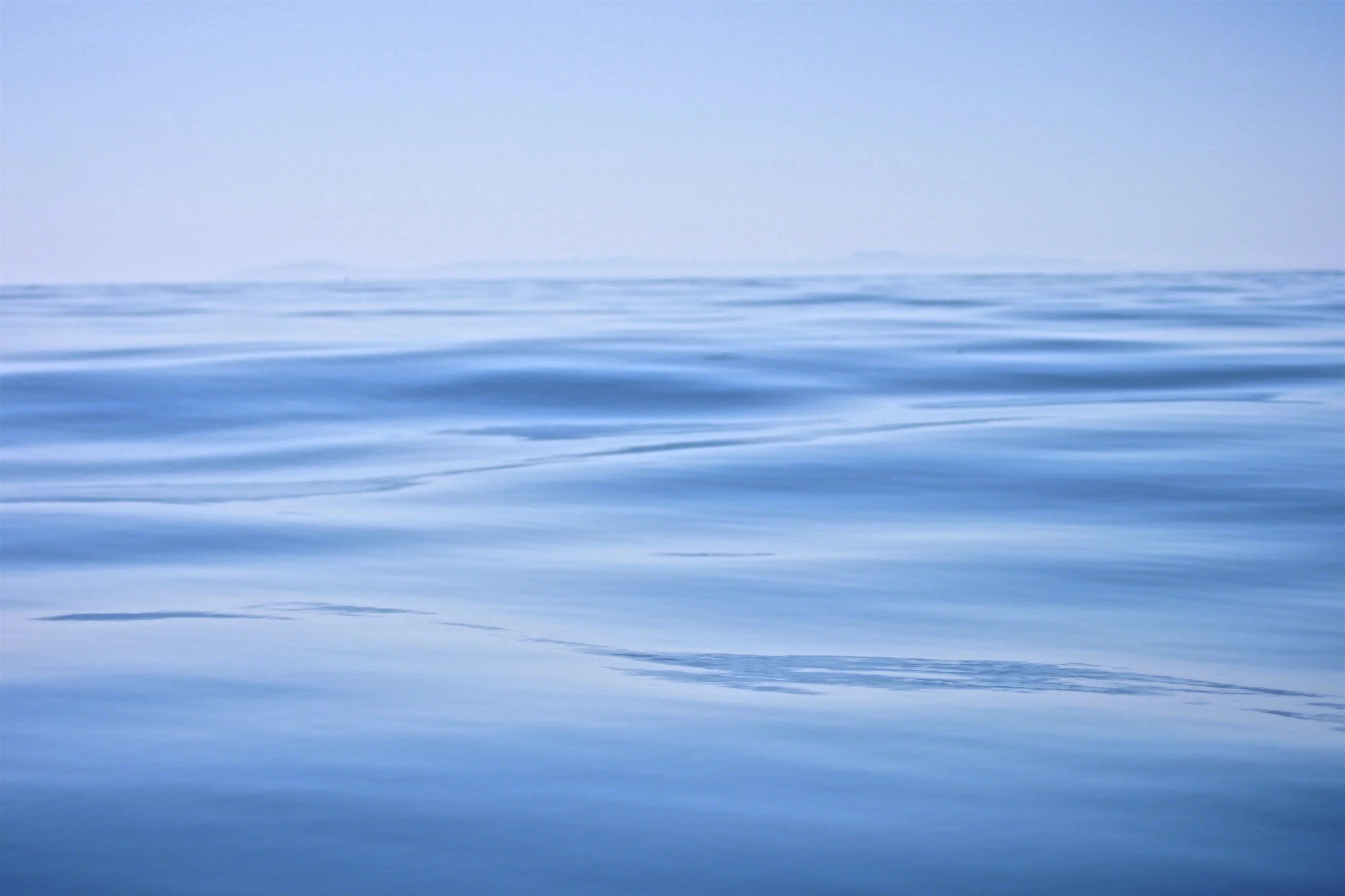 Orange County in May 2026: 60+ Events To Check Out This Month 