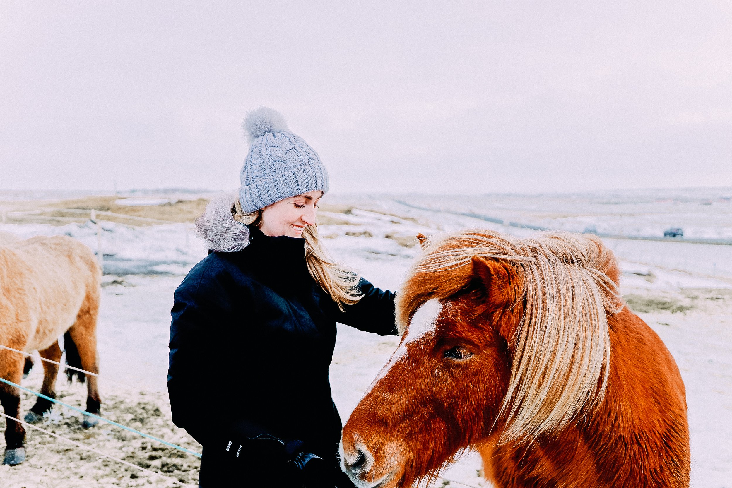 Girl with a horse in Iceland in the snow.