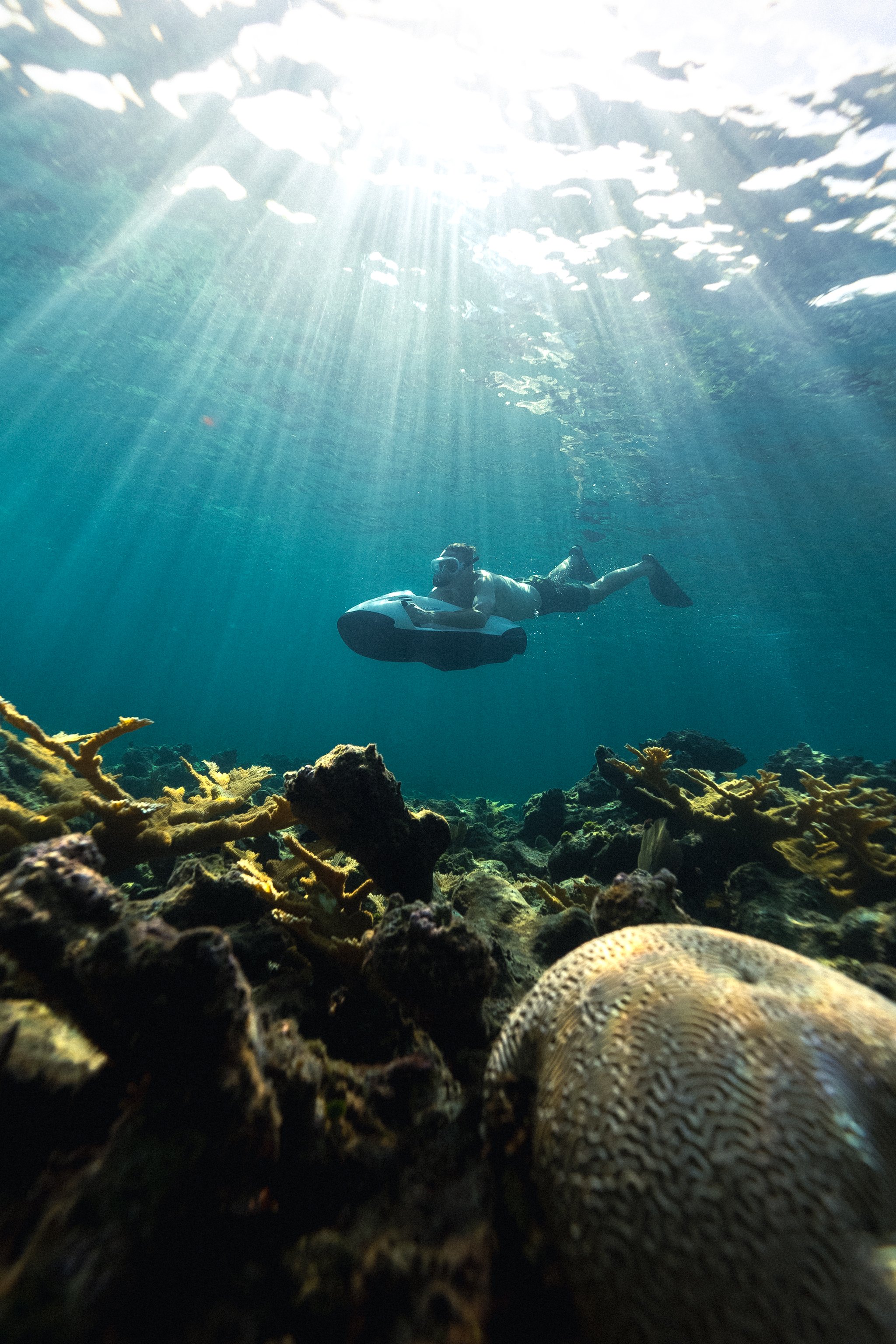 Person snorkeling underwater above a coral reef, with sunlight filtering through the water surface.