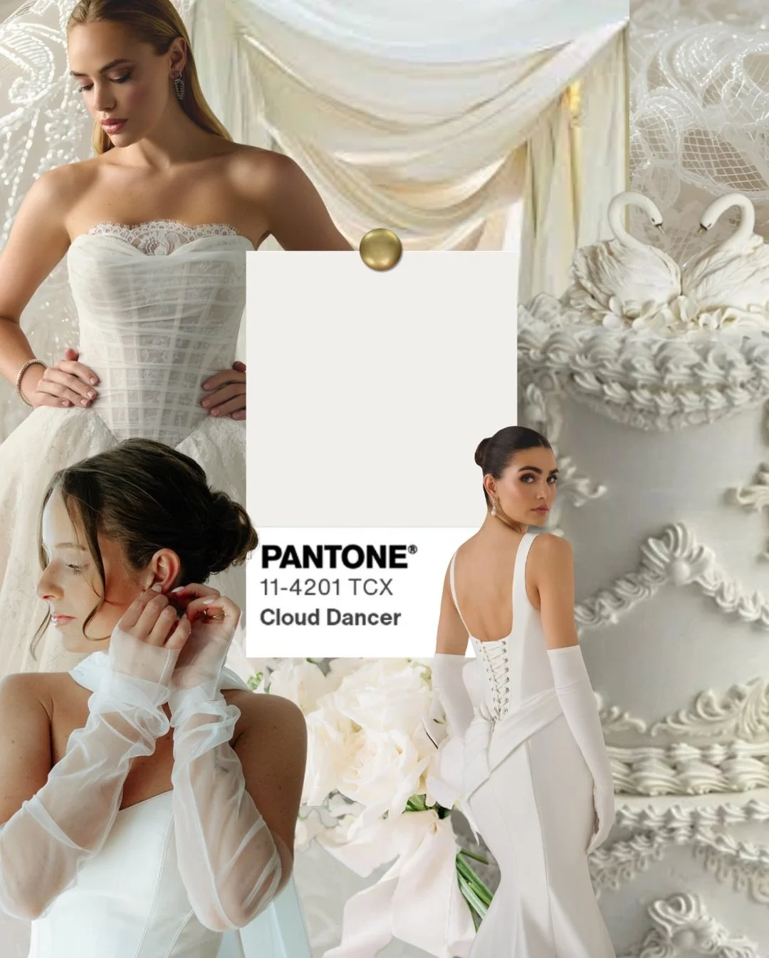 Cloud Dancer 🤍💭🫧🕊️ is stealing the show for 2026 softening and elevating every shade around her! ⁠
​⁠
Cobalt, modern neutrals, fresh green, chartreuse, vibrant orange, and dusty rose each bring their own energy to the story, and we&rsquo;ve paire