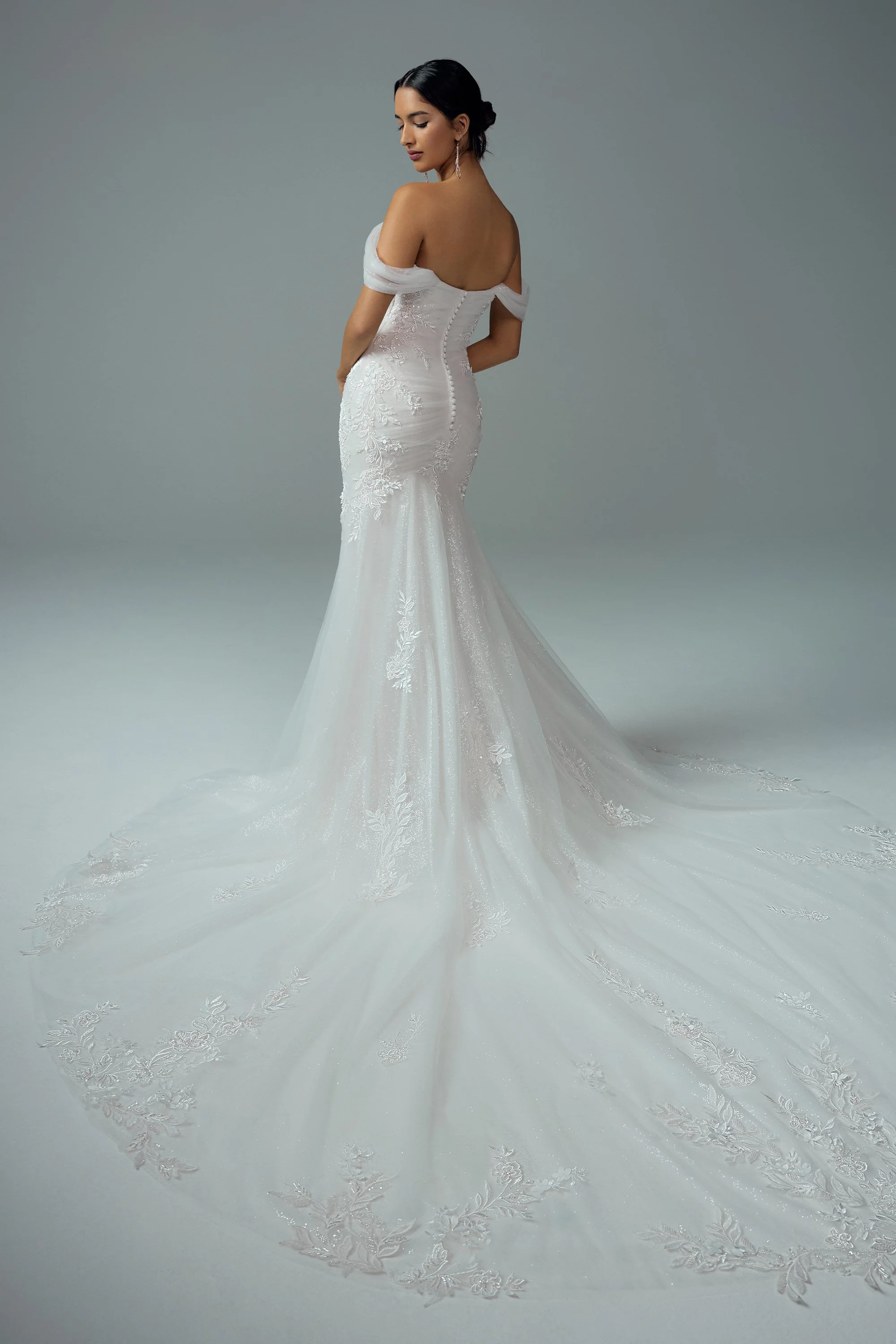 Fitted Lace and Tulle Dress