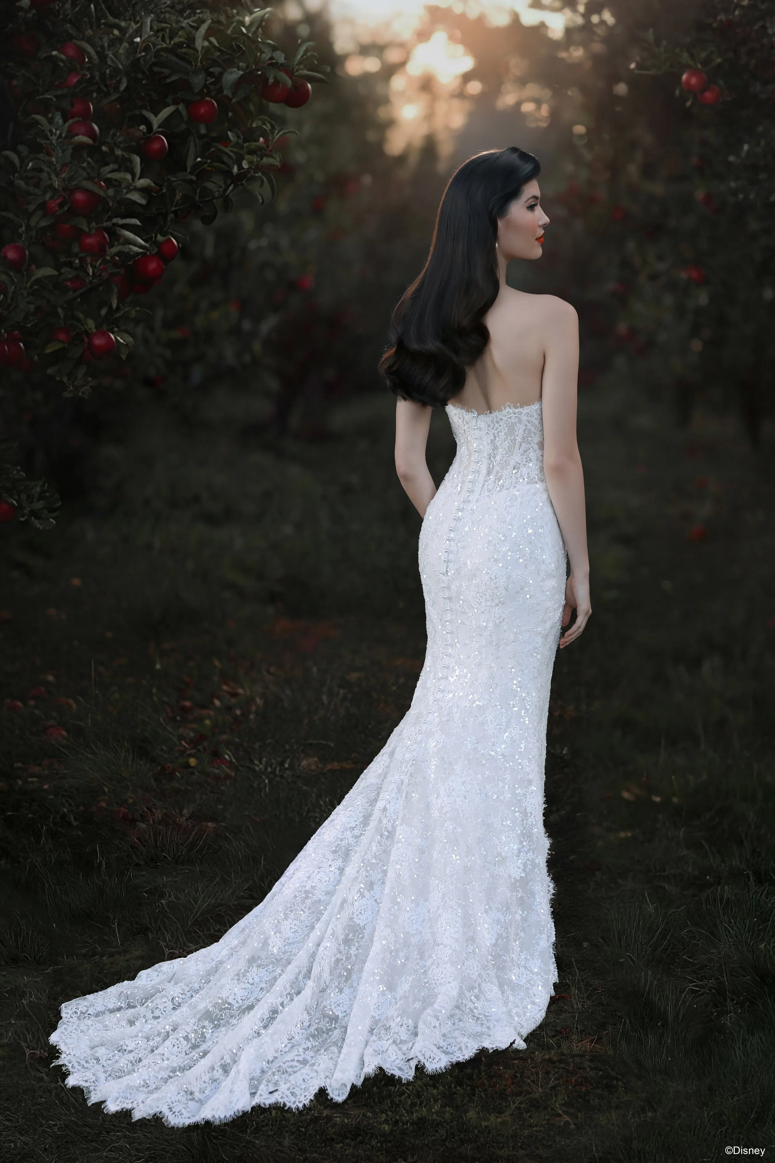 D477-SnowWhite-03 (1).jpg