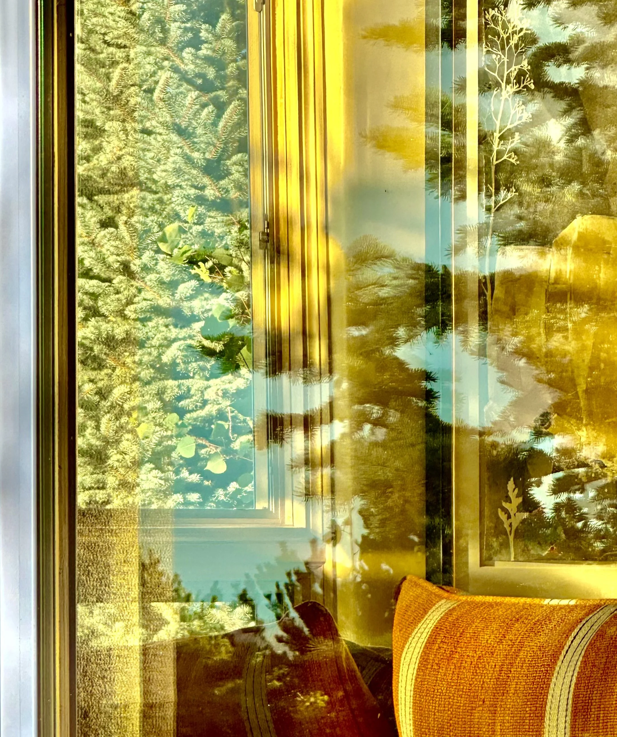Gentle Afternoon
