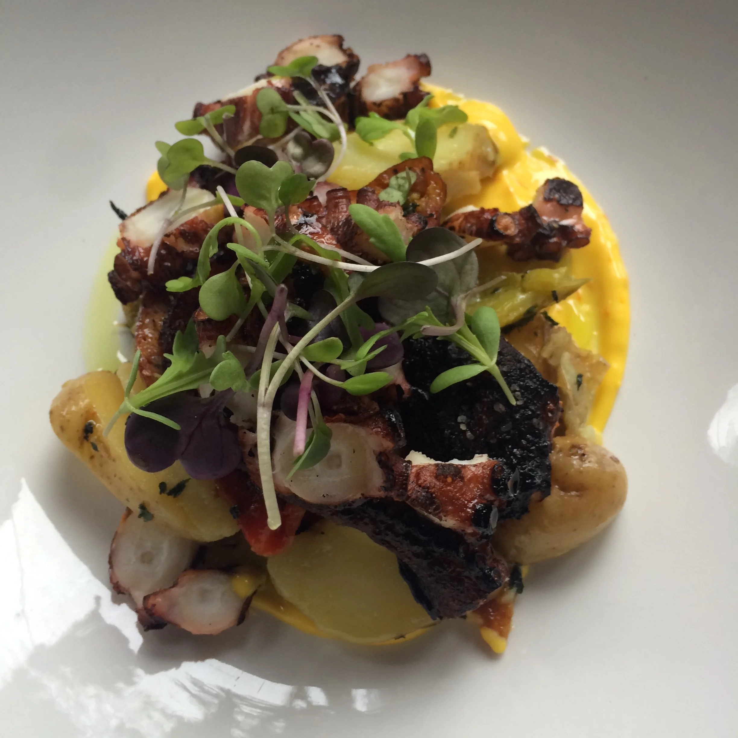 Charred Octopus, Roasted Peppers, Saffron Aioli.JPG