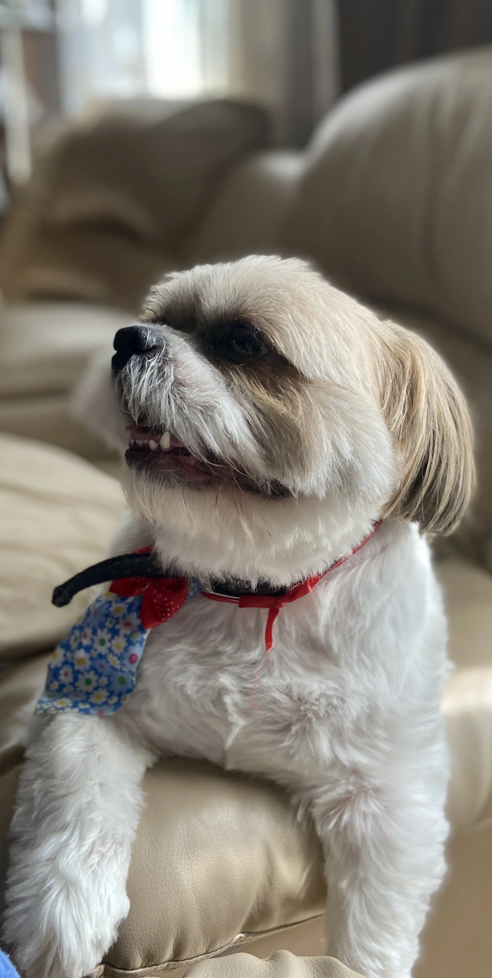 61781609902__0B4B7D0C-D08A-40DF-A4CF-DBFC1CAD2E6D.fullsizerender.jpeg