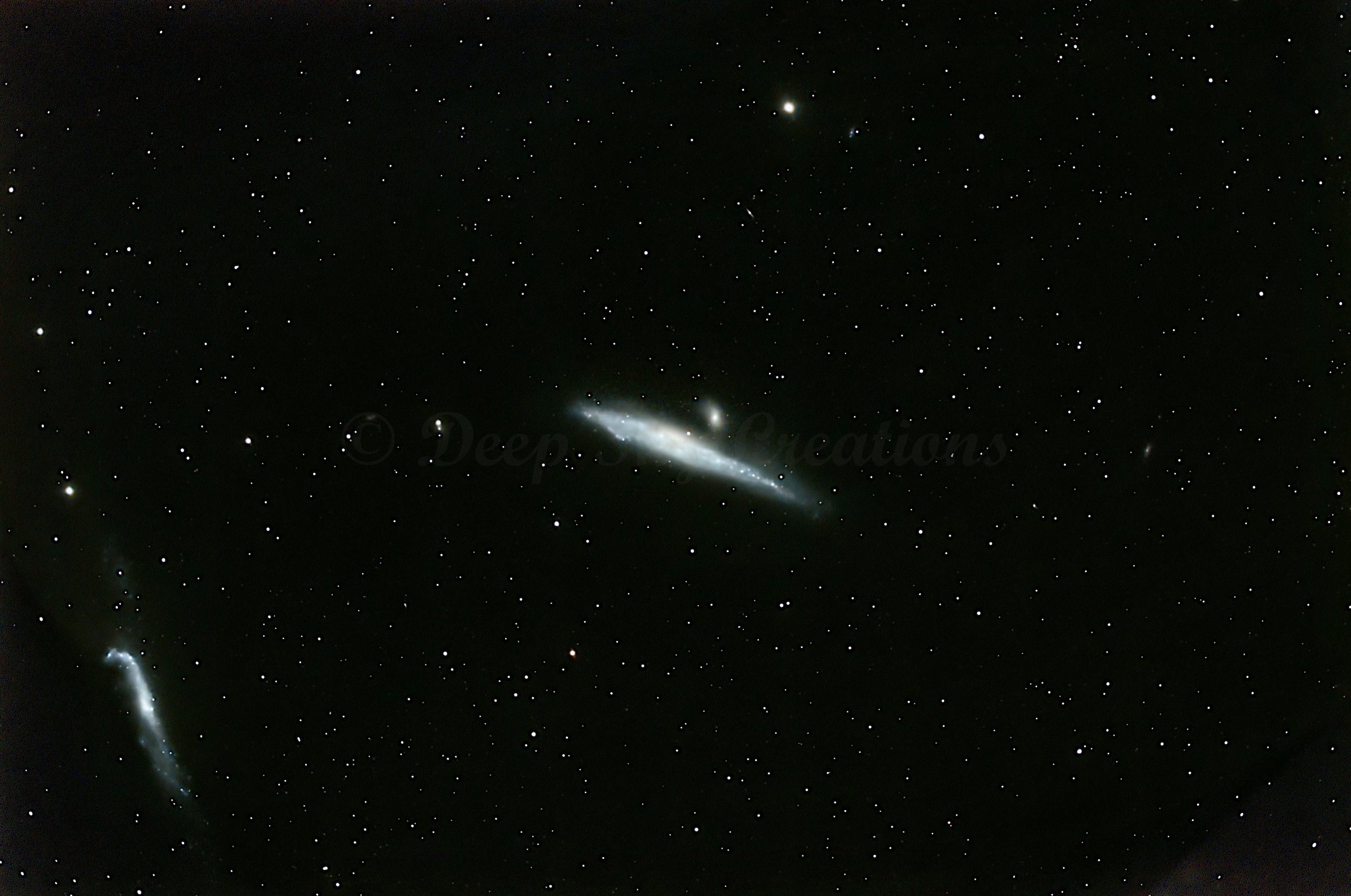 Whale Galaxy by Mike Rizor (All images © Deep Sky Creations. Unauthorized use or reproduction is strictly prohibited.)