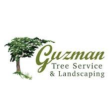 Guzmantreeservice.com