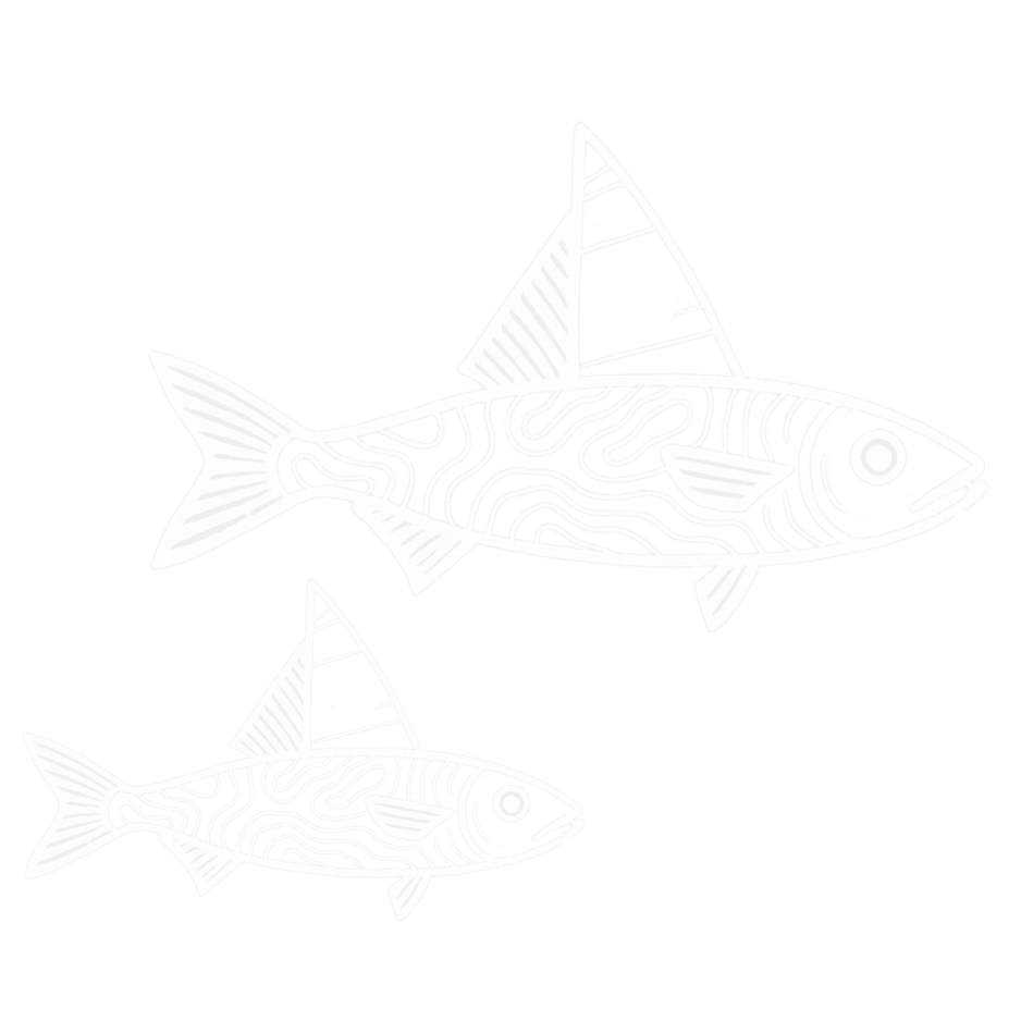 Stylized black and white illustration of two fish with patterned bodies and sails in a minimalist design.