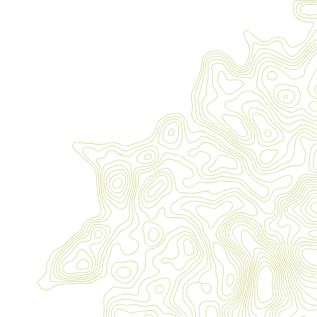 Gold contour lines on a black background creating a topographic map pattern.
