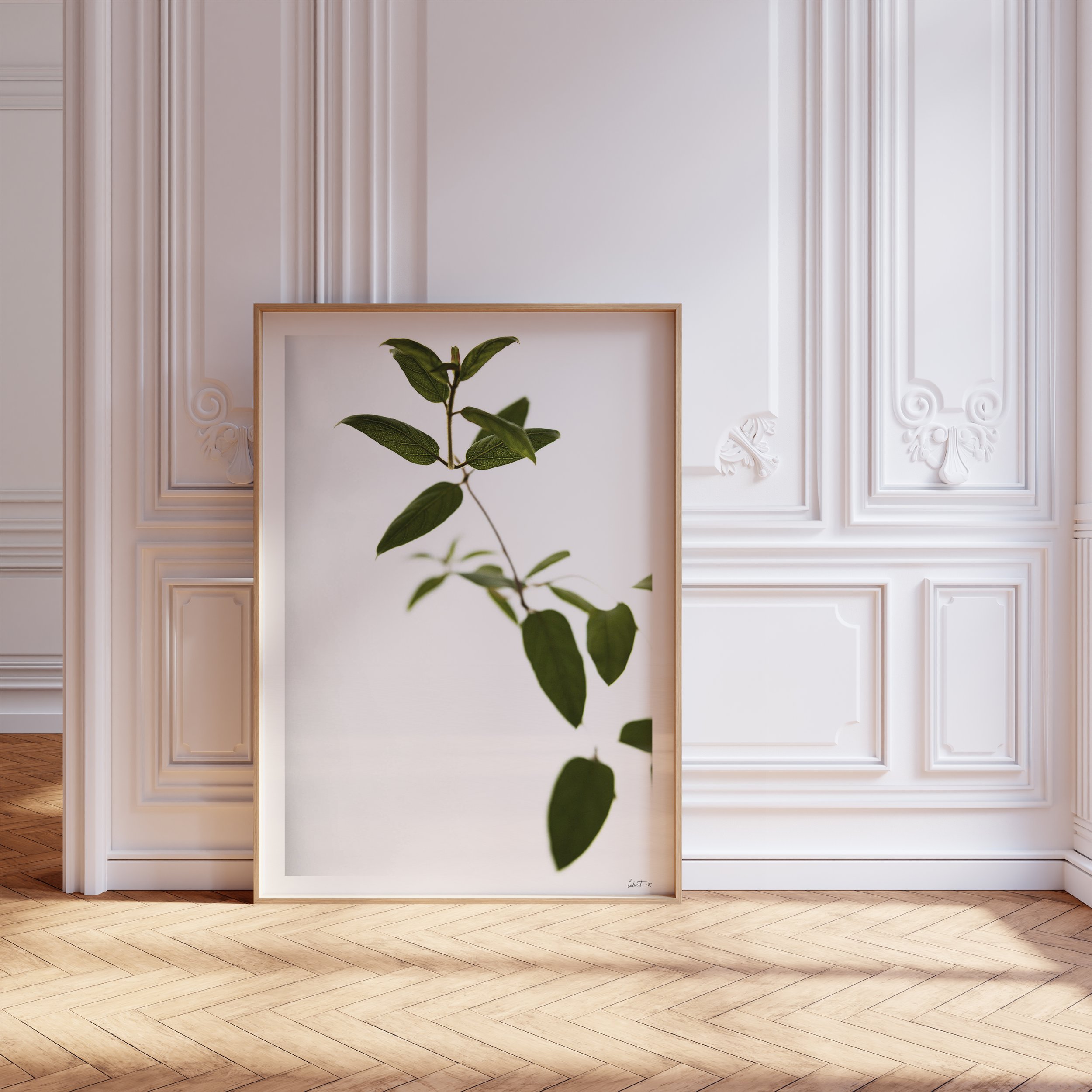 THE ART OF BOTANICAL PHOTOGRAPHY