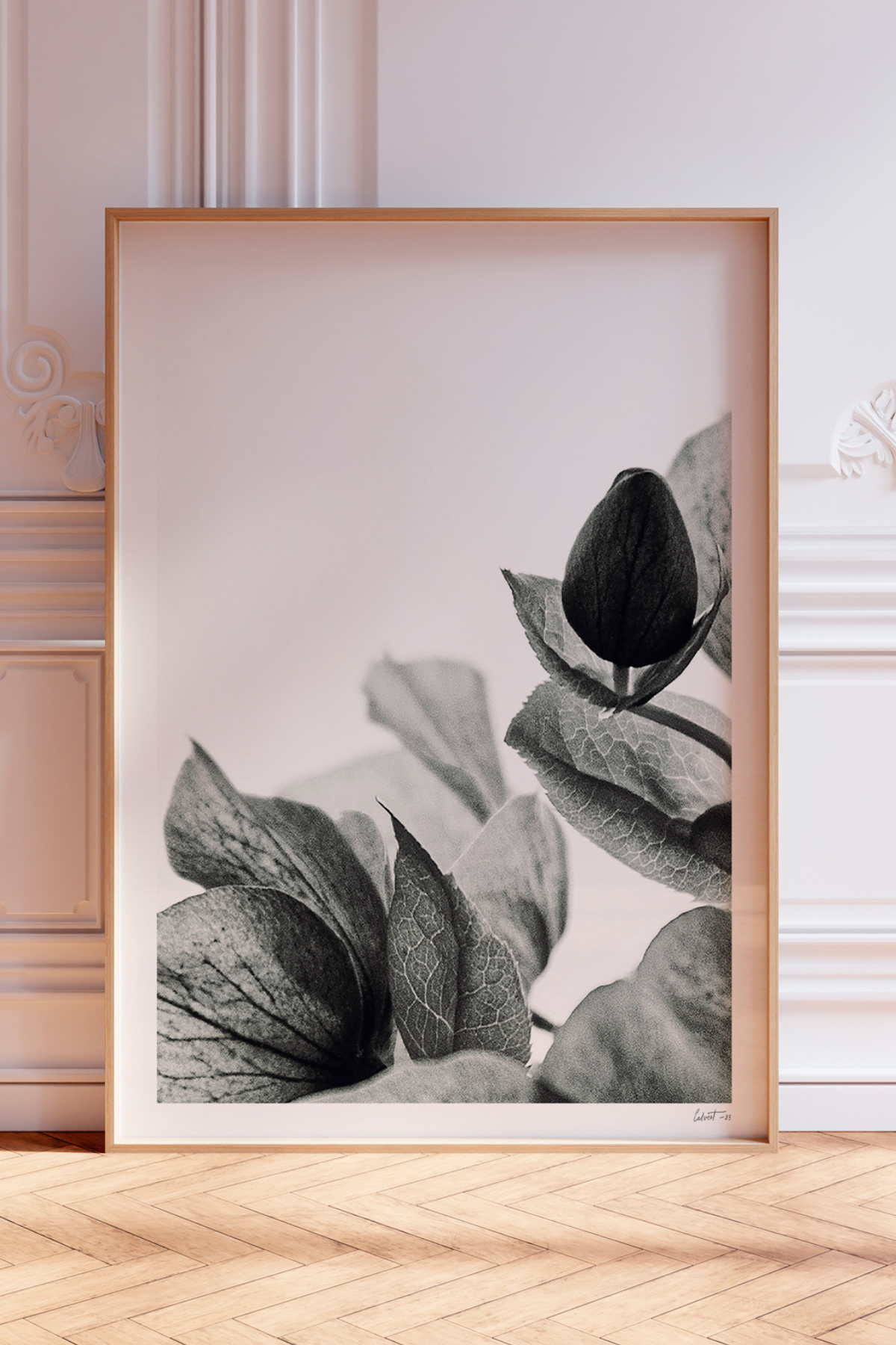 Abstract Hellebore