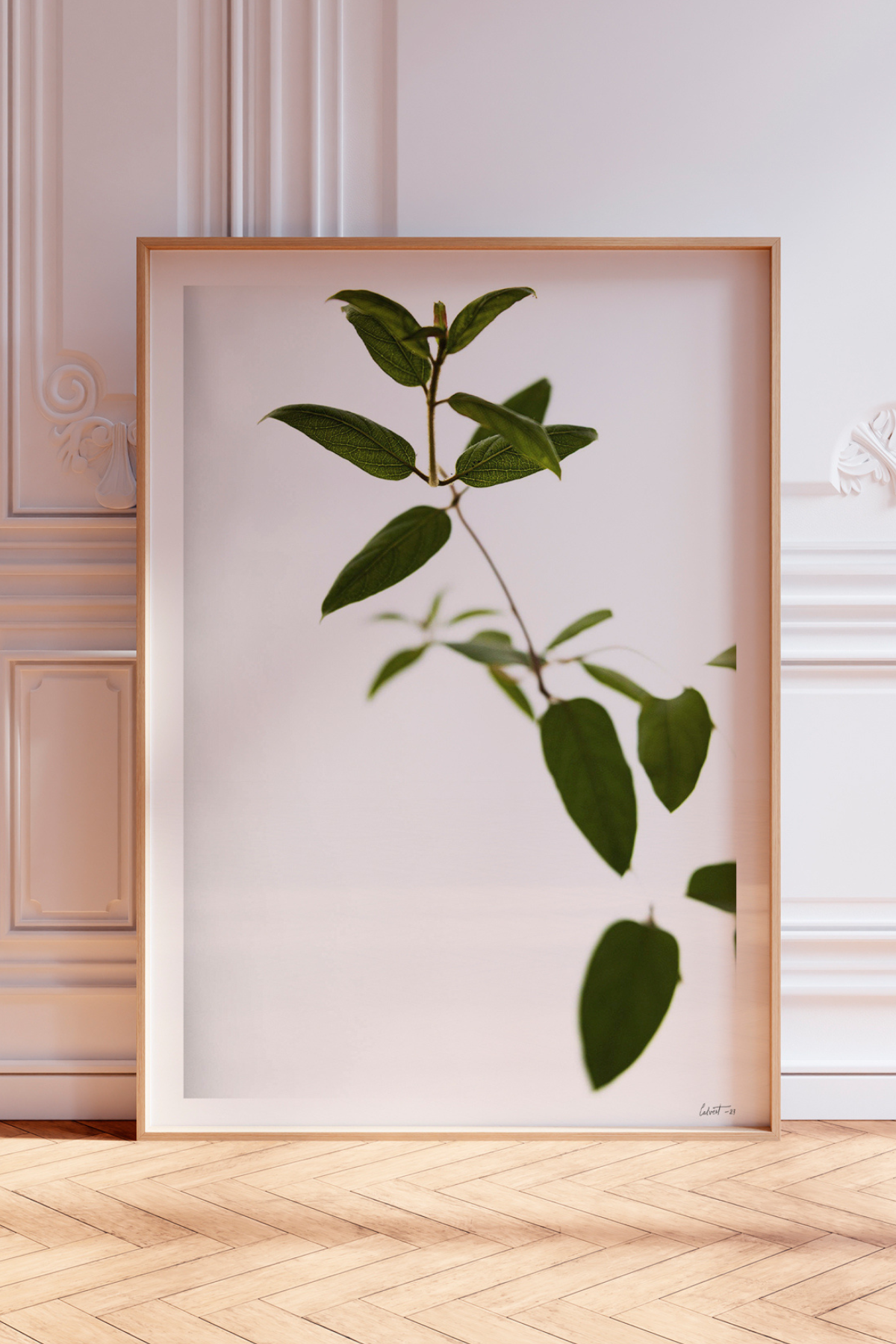 Honeysuckle