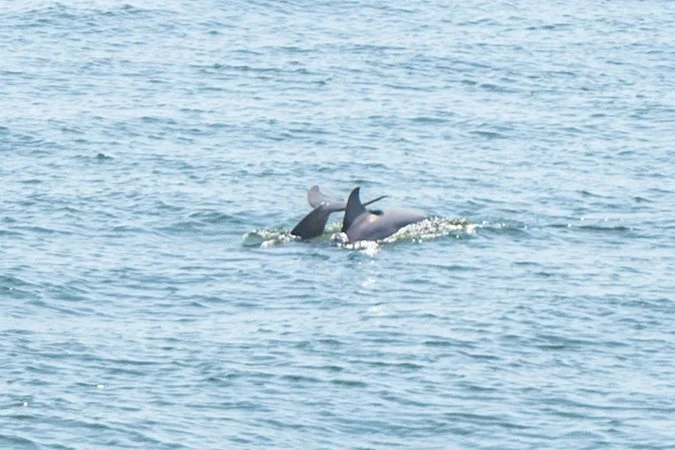 Aquarium Visit with Bri and Andrei-10.jpg