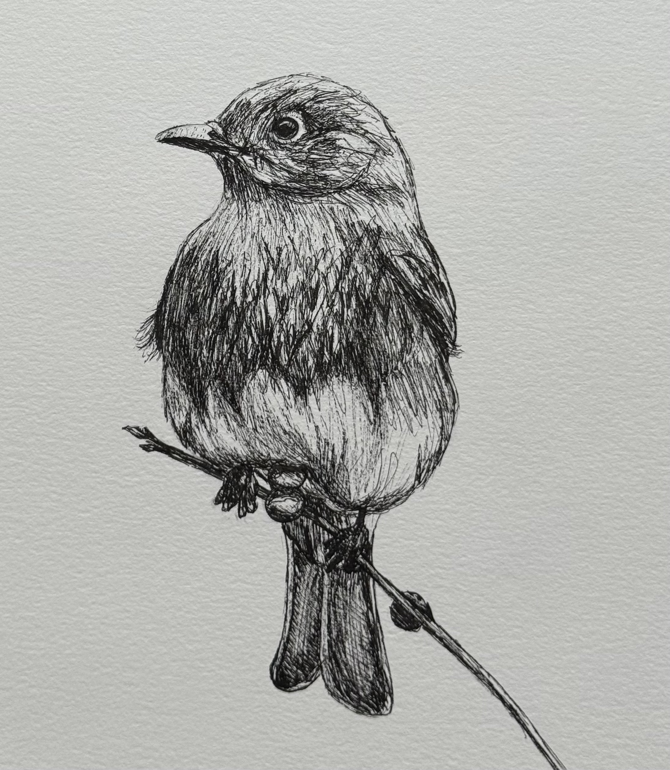 "Bird on a Branch"