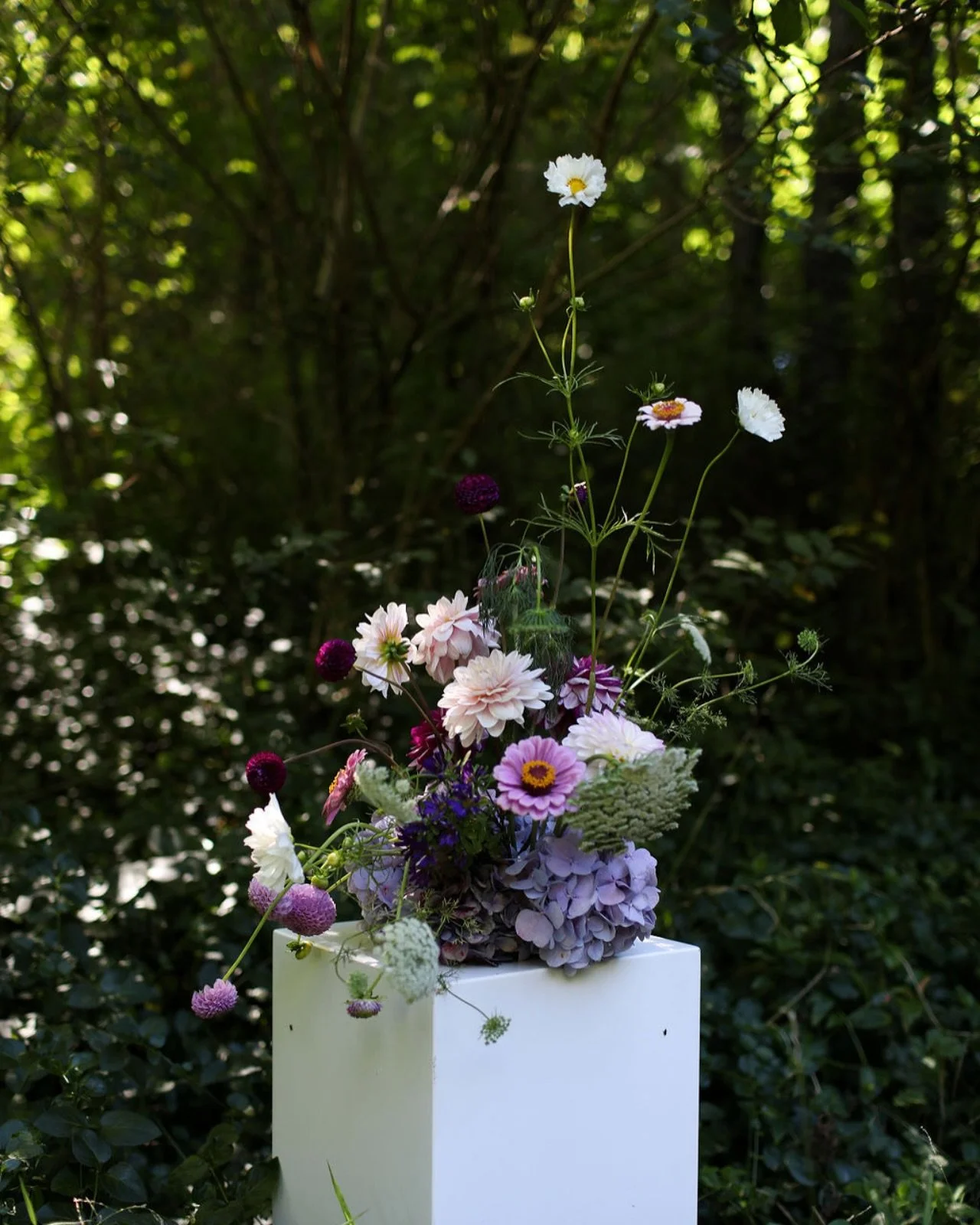 Mothers Day flowering 🌸 Come and do some fun flowering with me the day before Mothers Day @kiln.studio 
Bring a vase and make a vase arrangement to display in your home or gift to your Mama or Mama figure 🤍✨

#nelsonnz #whatsonnelson #potteryandflo