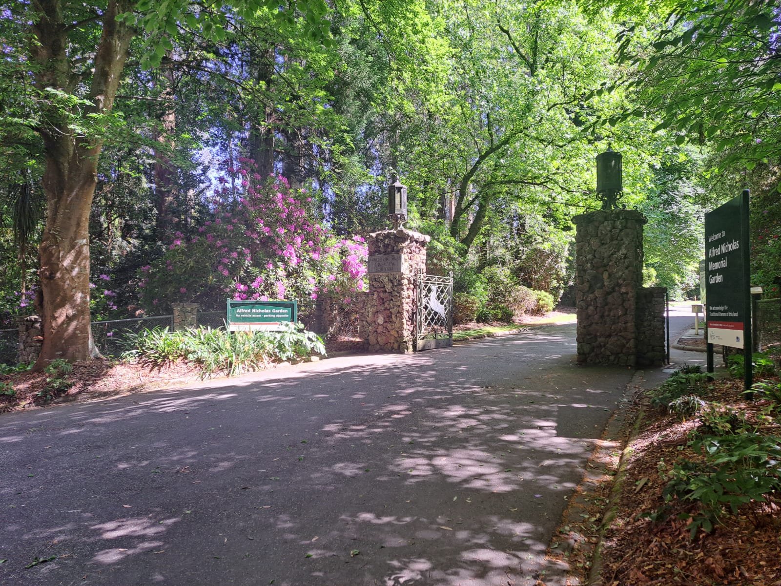 WhatsApp Image 2025-05-04 at 1.14.49 PM.jpeg