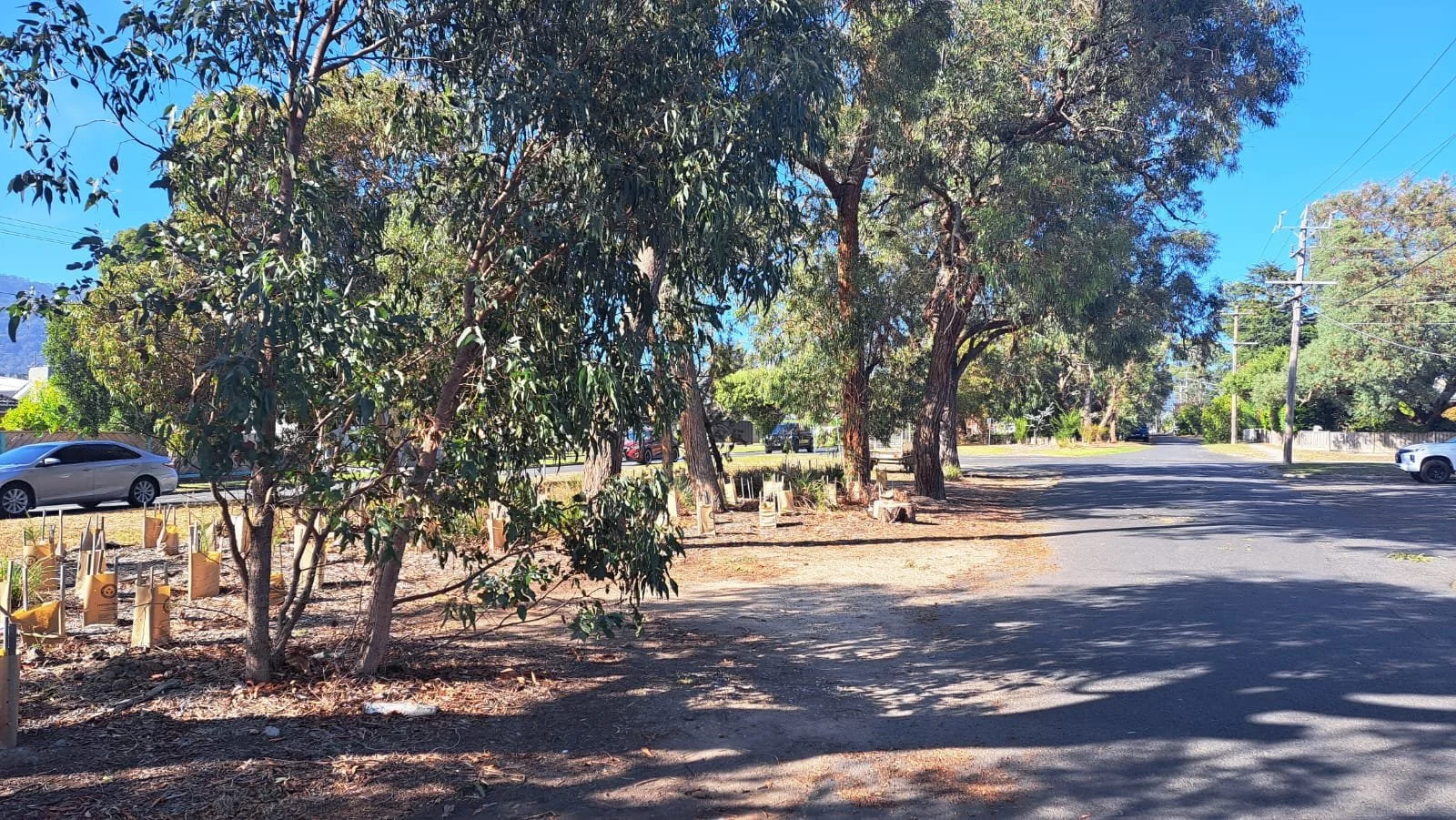 WhatsApp Image 2025-06-10 at 4.24.08 PM.jpeg