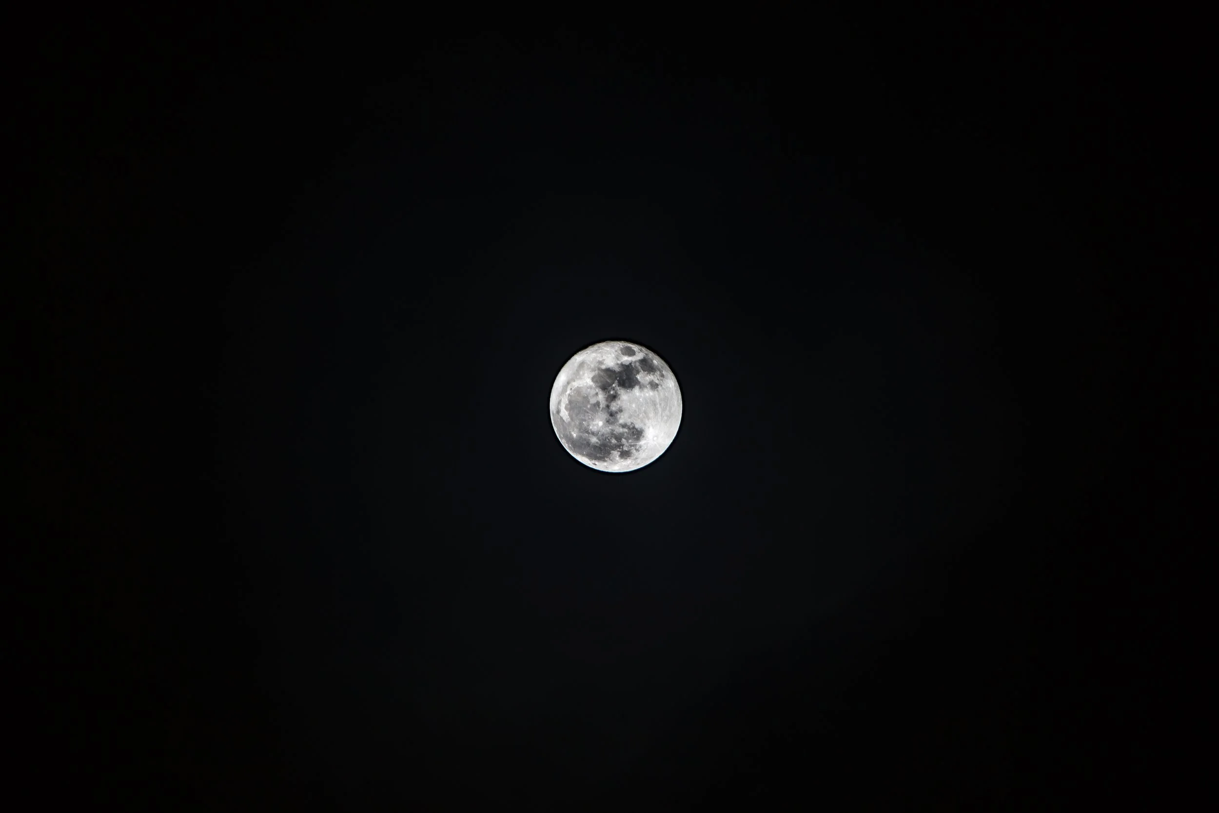 G71A6823.jpg