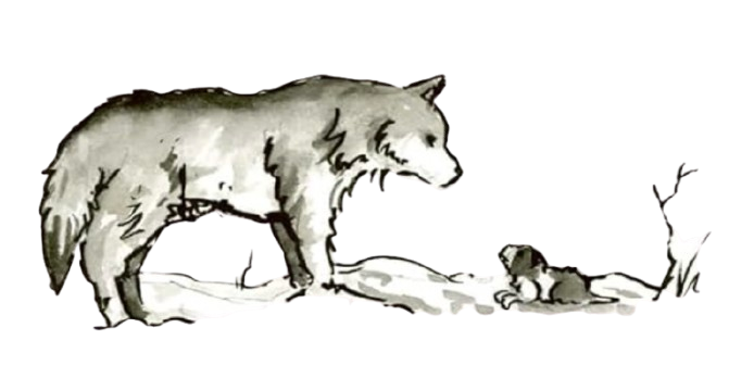 watercolor of wolf and puppy